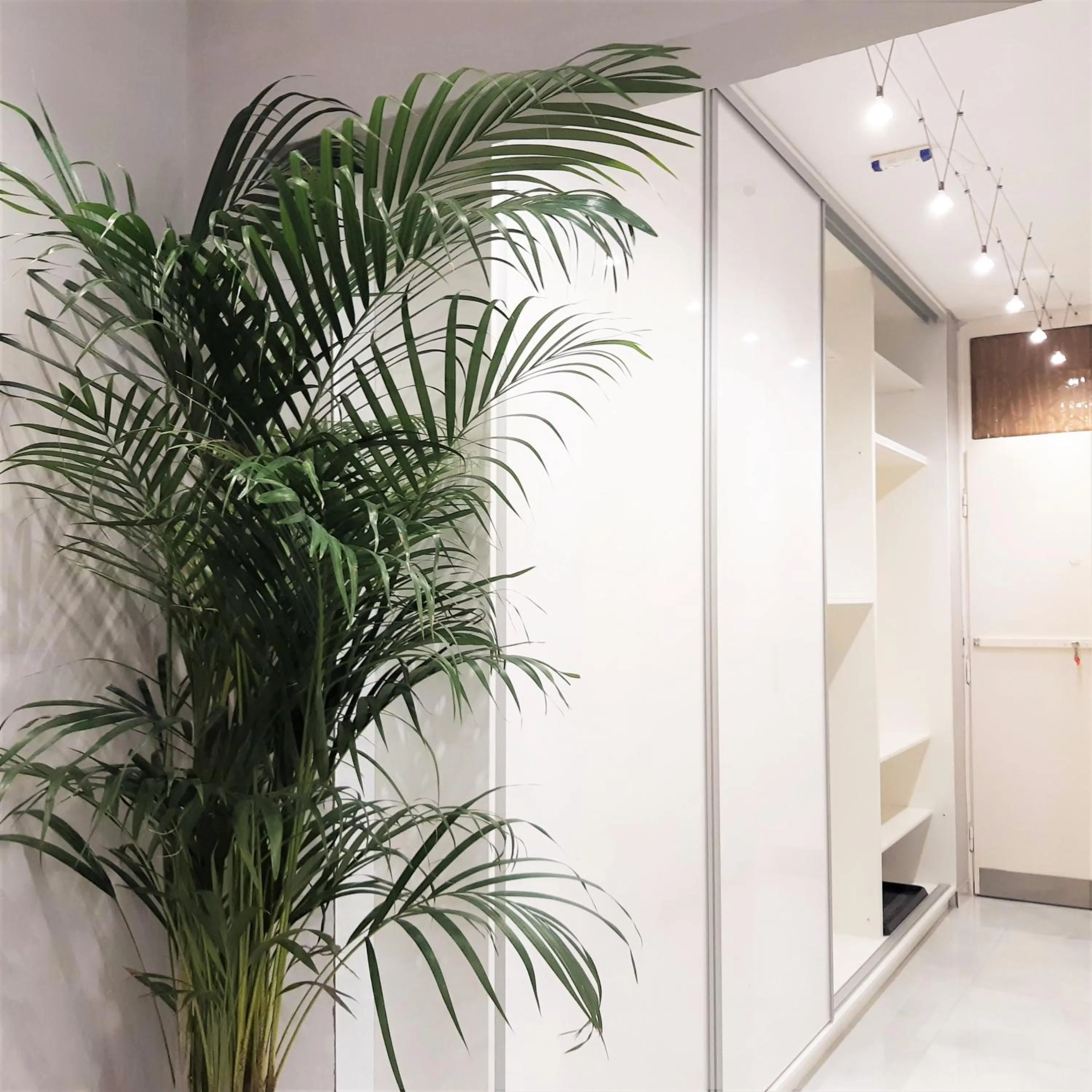 wardrobe in Albina apartman