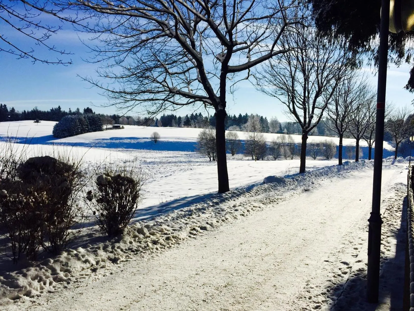 Natural landscape in Blechleppel - Die Pension im Harz