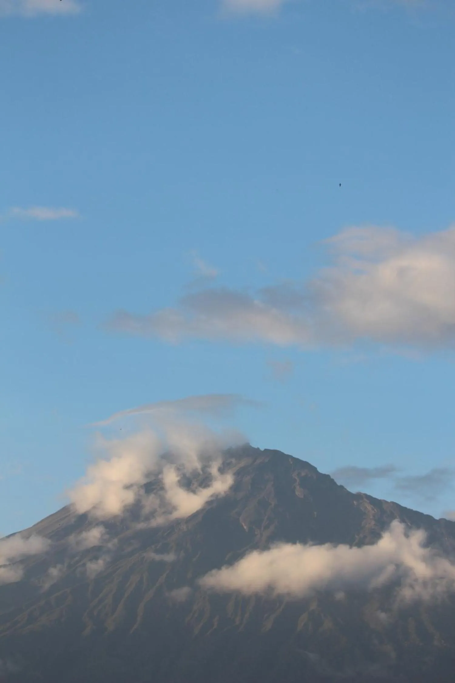 Boulevard Inn Mt Meru