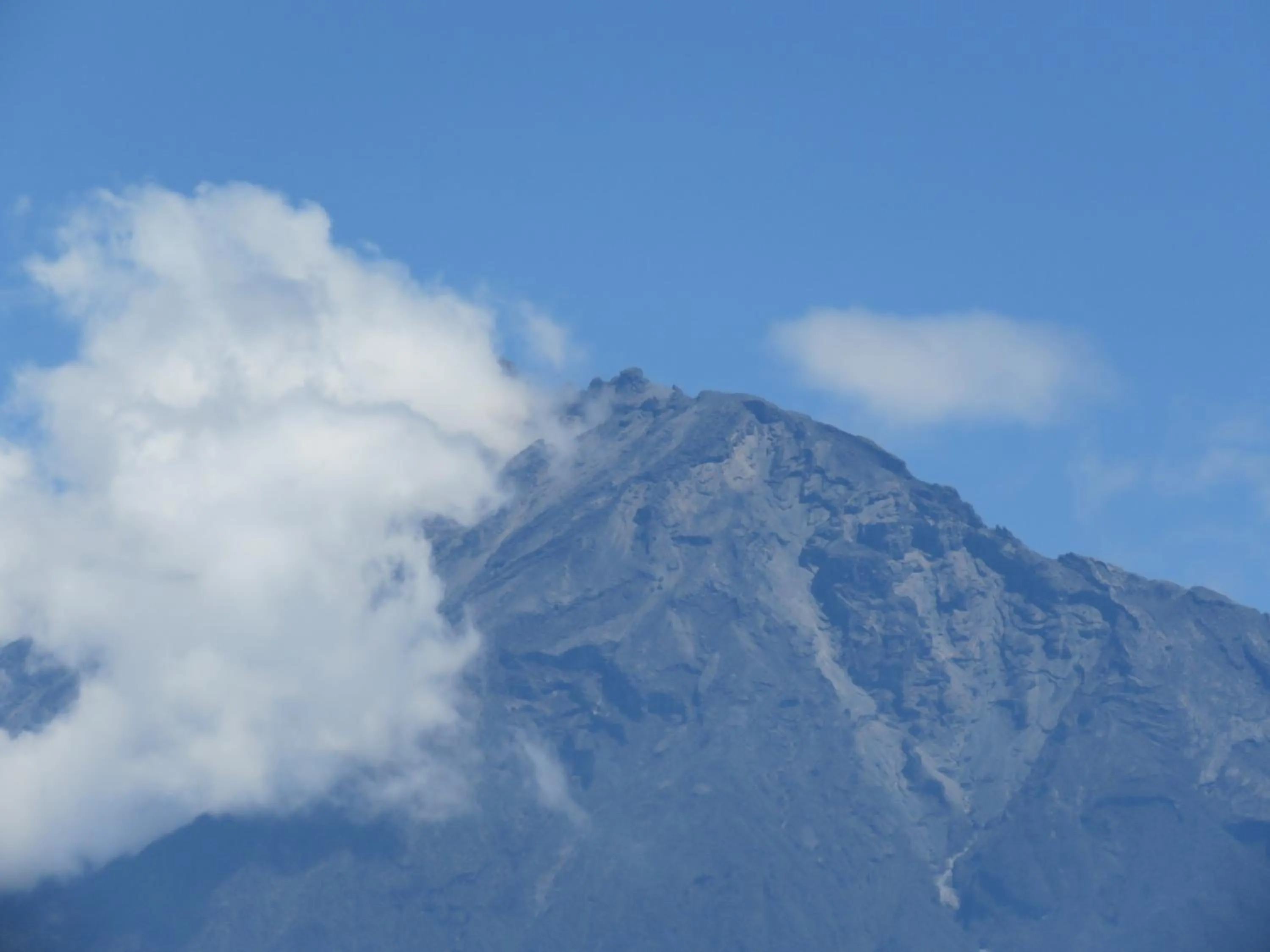 Boulevard Inn Mt Meru