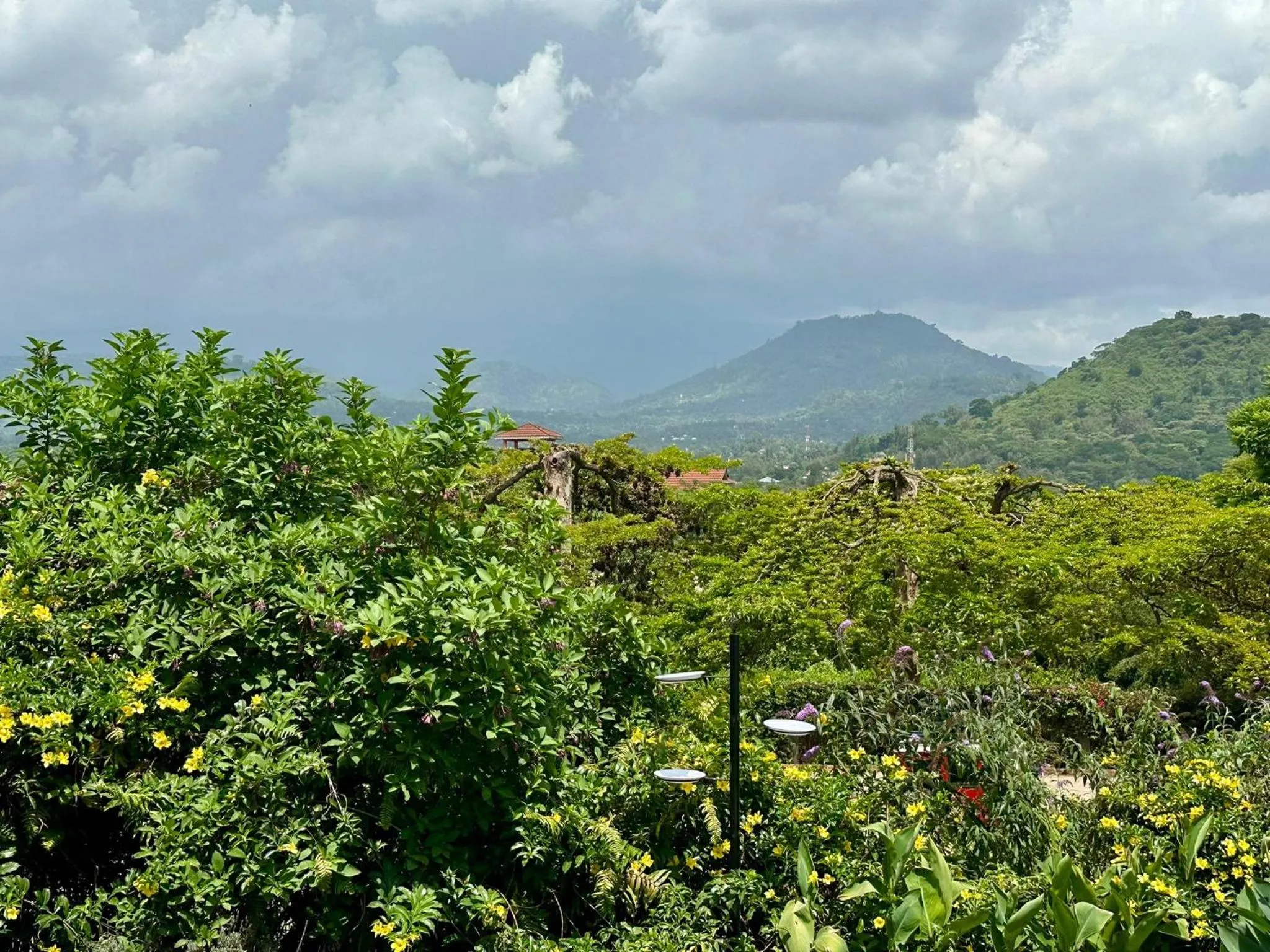 Boulevard Inn Mt Meru