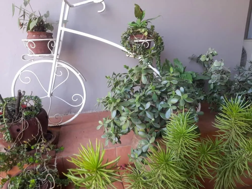 Boulevard Inn Mt Meru