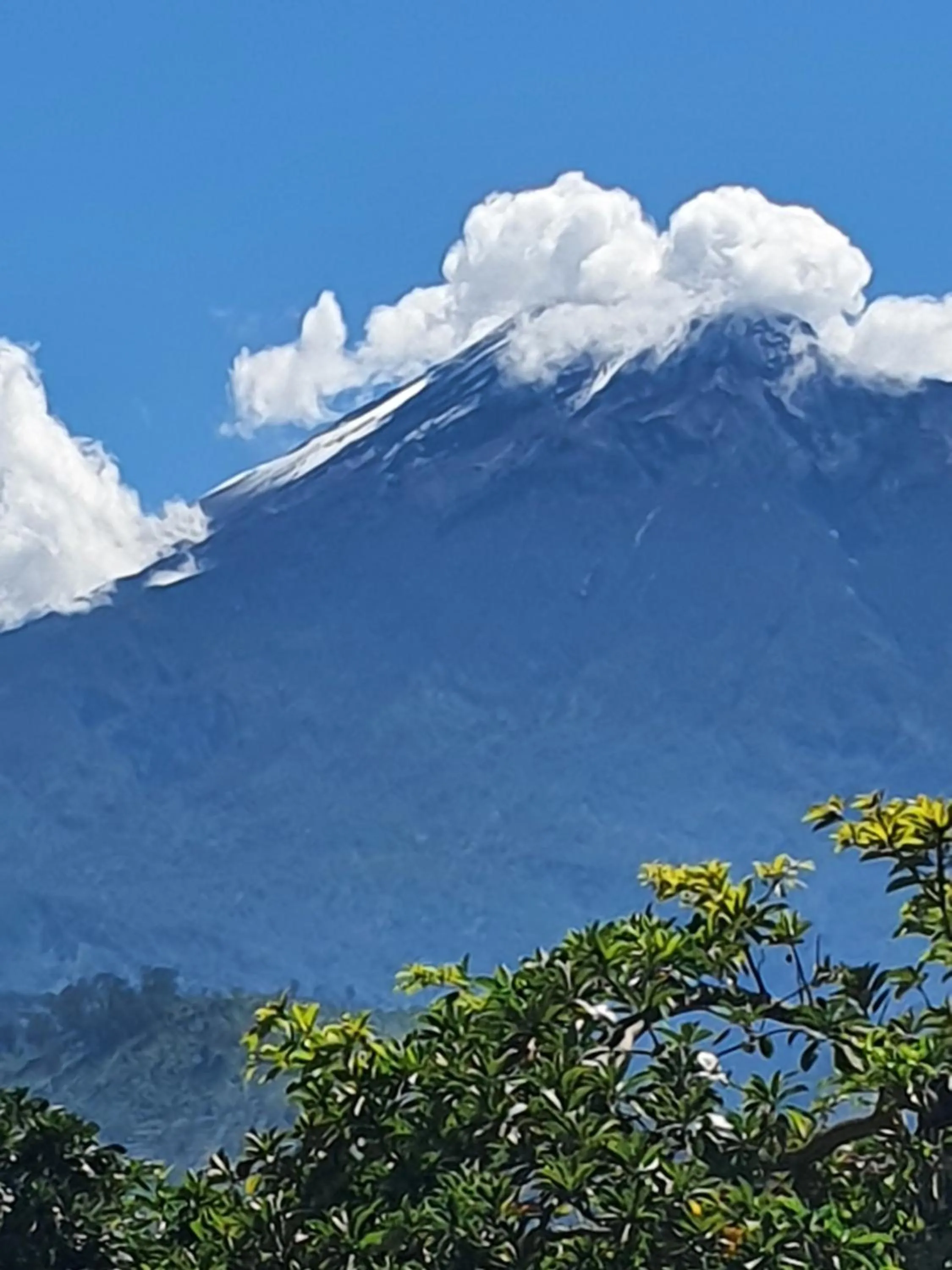 Boulevard Inn Mt Meru