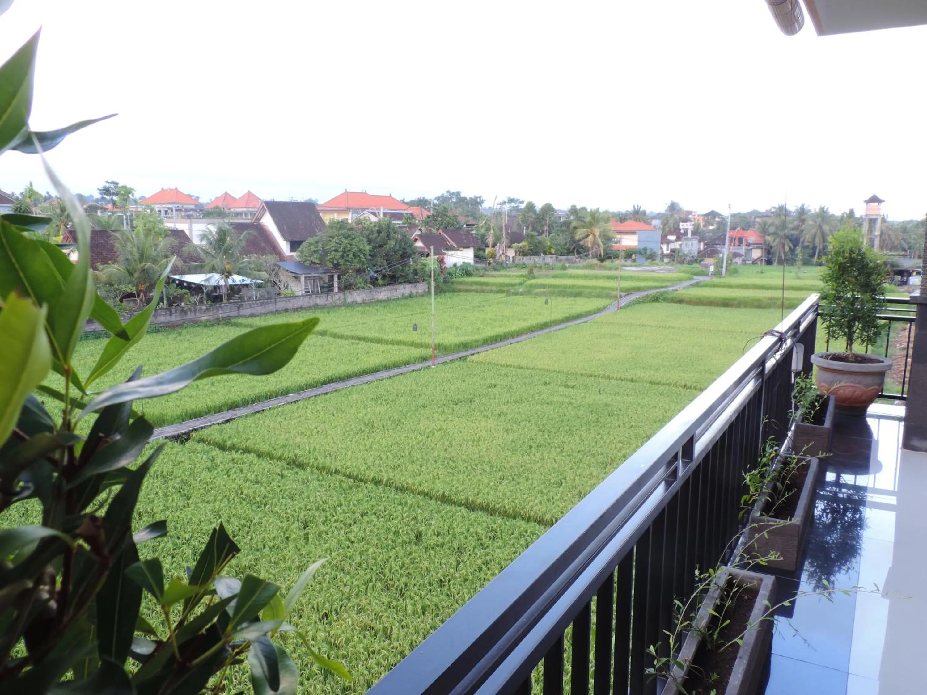 Garden view in Adi Bisma Inn by Mahaputra-CHSE Certified