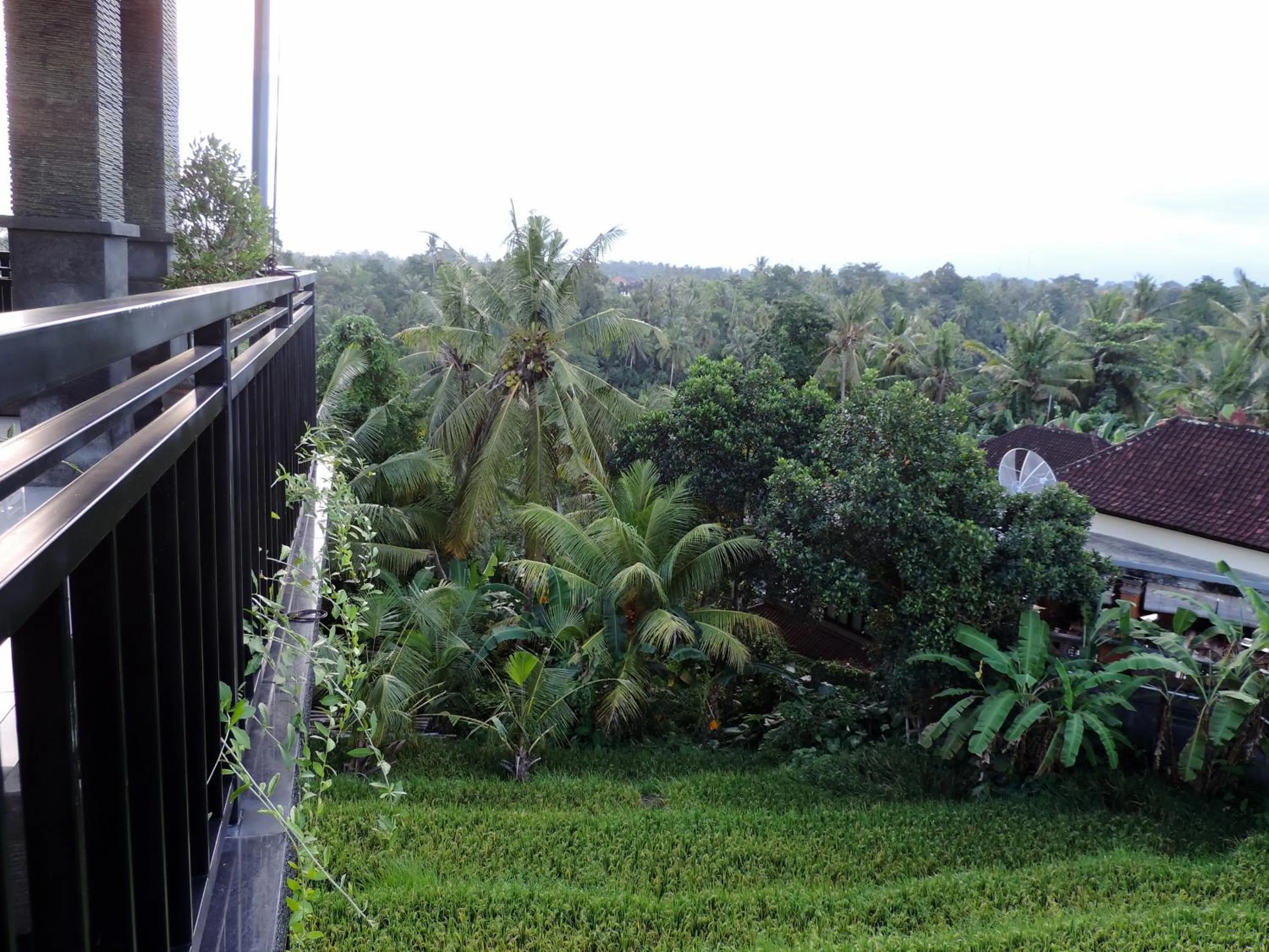 Mountain view in Adi Bisma Inn by Mahaputra-CHSE Certified