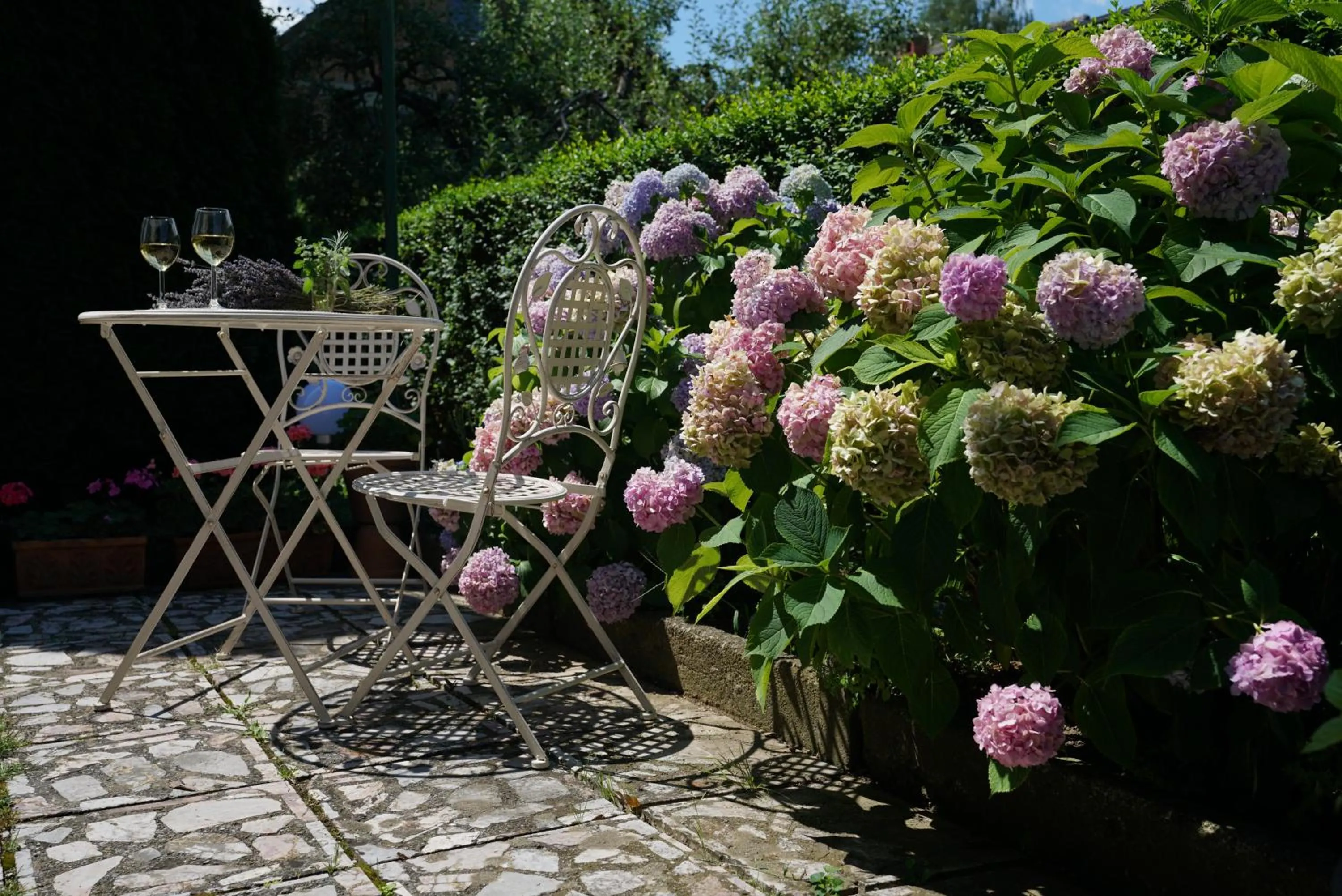 Garden in Villa Mint&Lavender ID1O1674