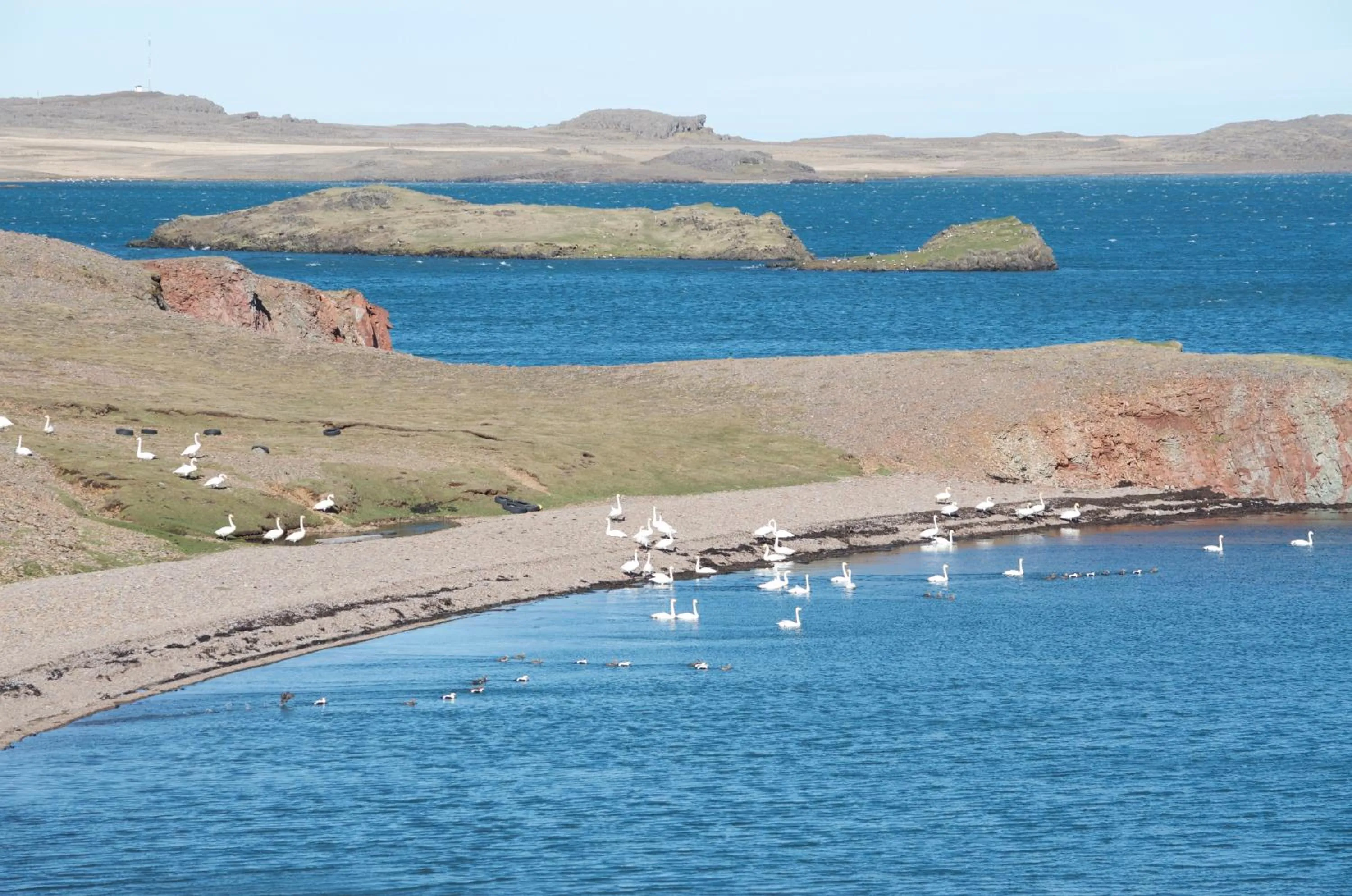 Krákhamar Apartments