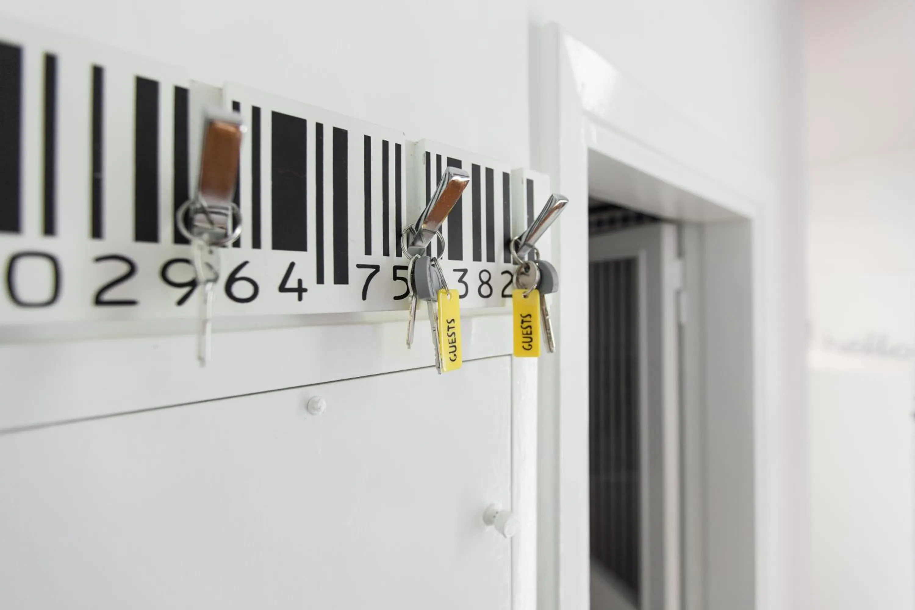 Decorative detail in Urbana Lodge, Monti