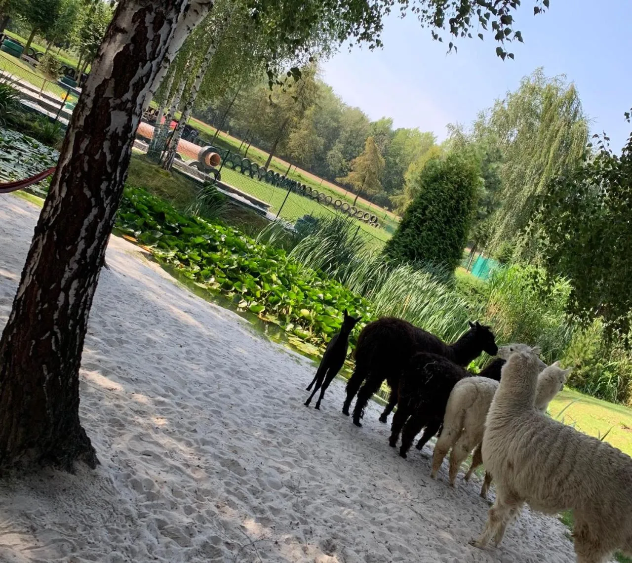 Hotel "Księżyc" w Świebodzicach