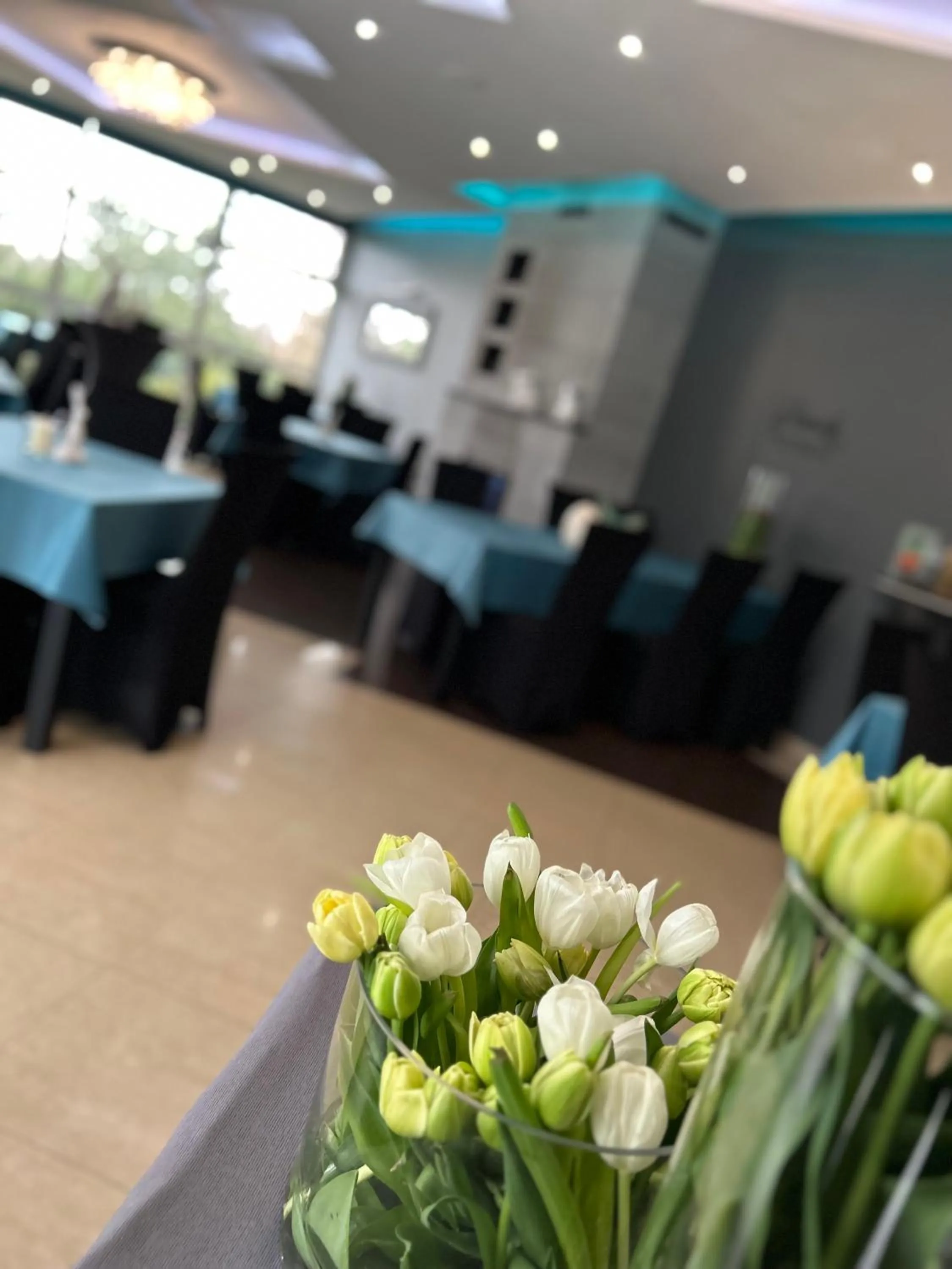 Hotel "Księżyc" w Świebodzicach