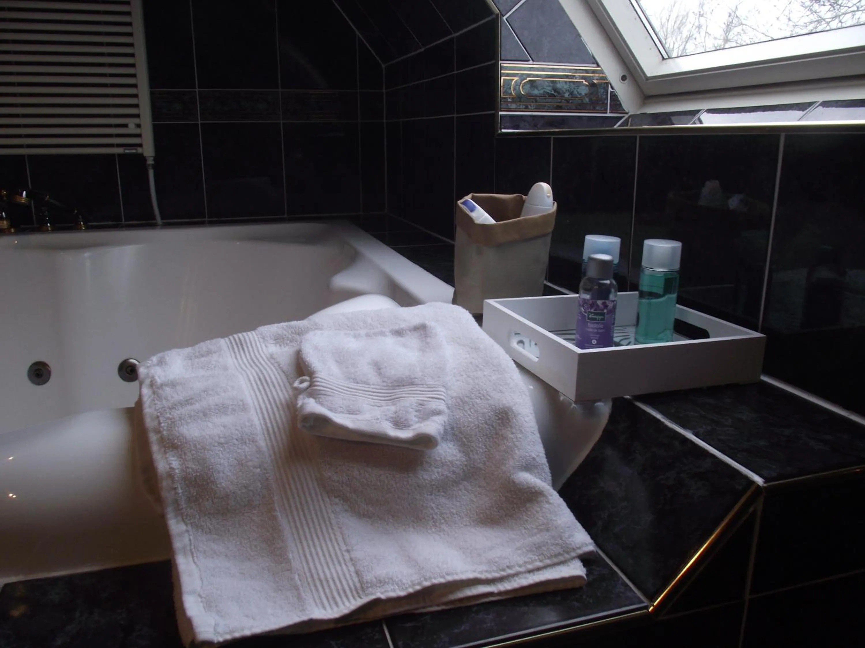 Spa and wellness centre/facilities in B&B Landgoed Sonneborghe