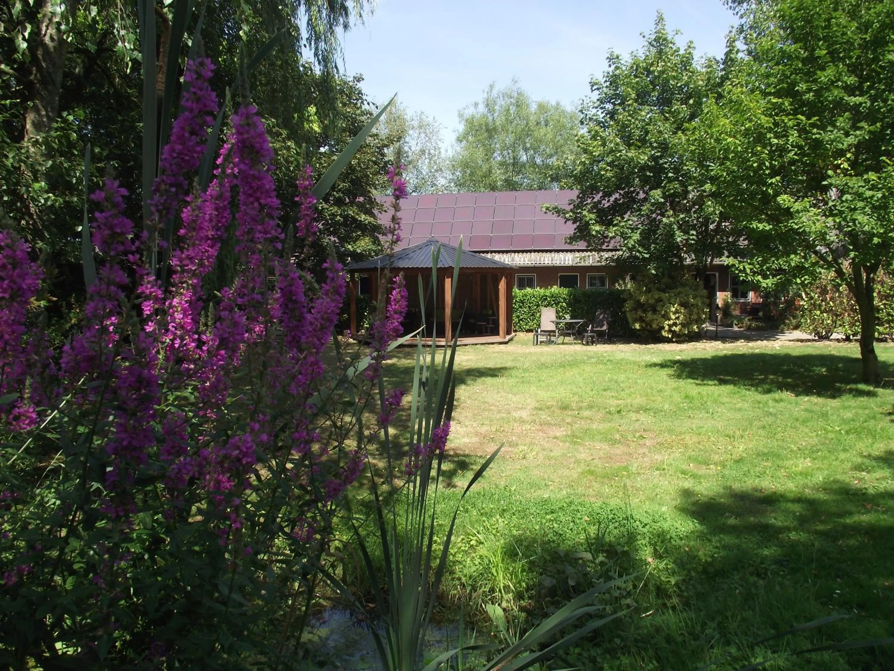 Garden in B&B Landgoed Sonneborghe