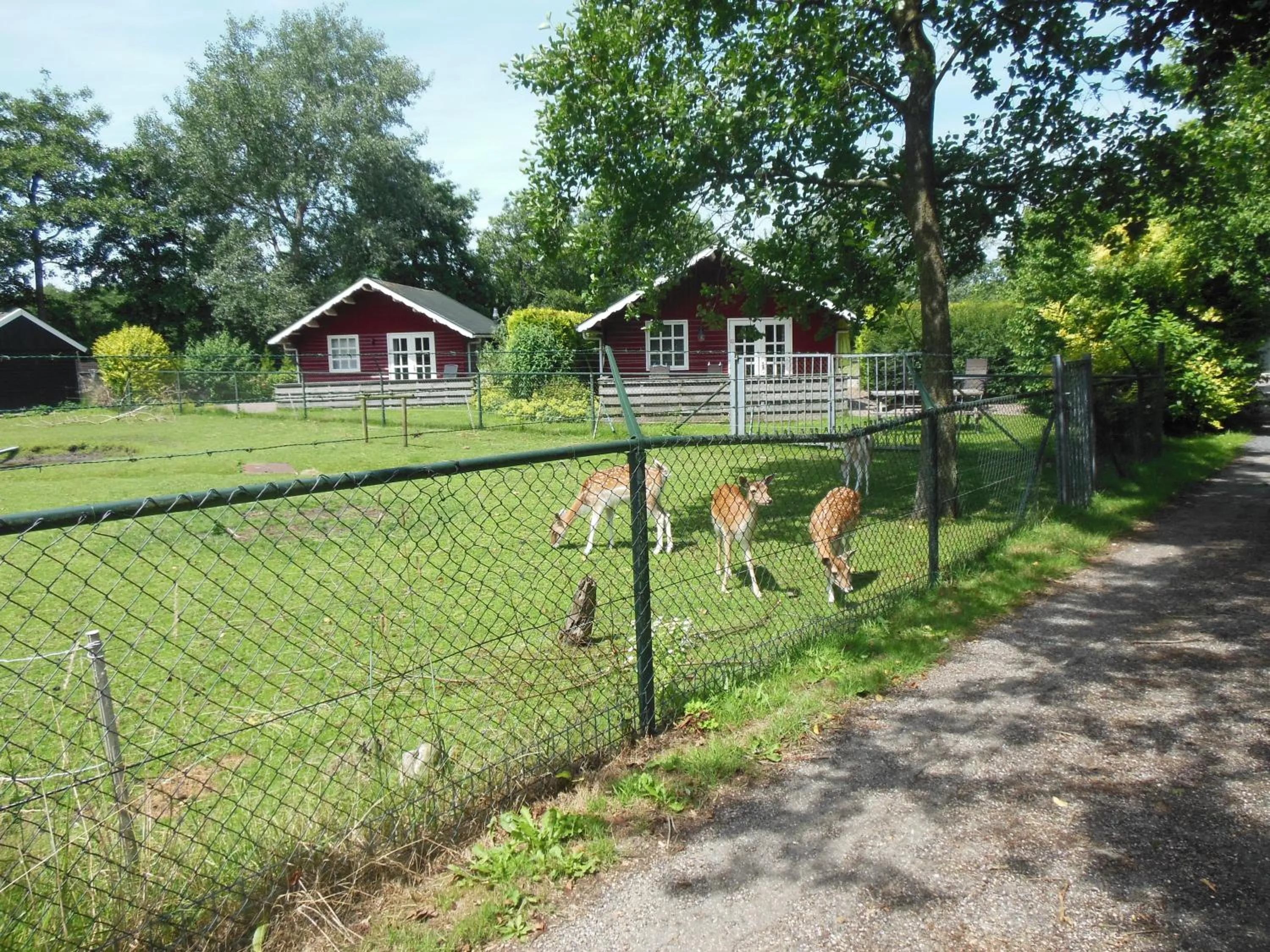 Pets in B&B Landgoed Sonneborghe