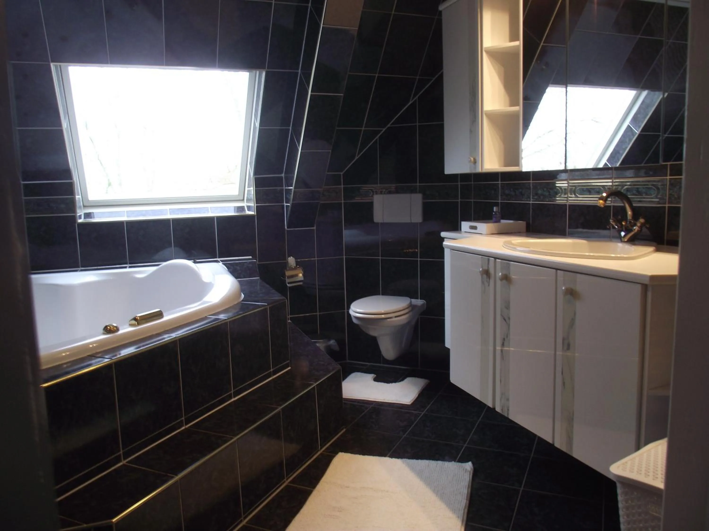 Spa and wellness centre/facilities in B&B Landgoed Sonneborghe