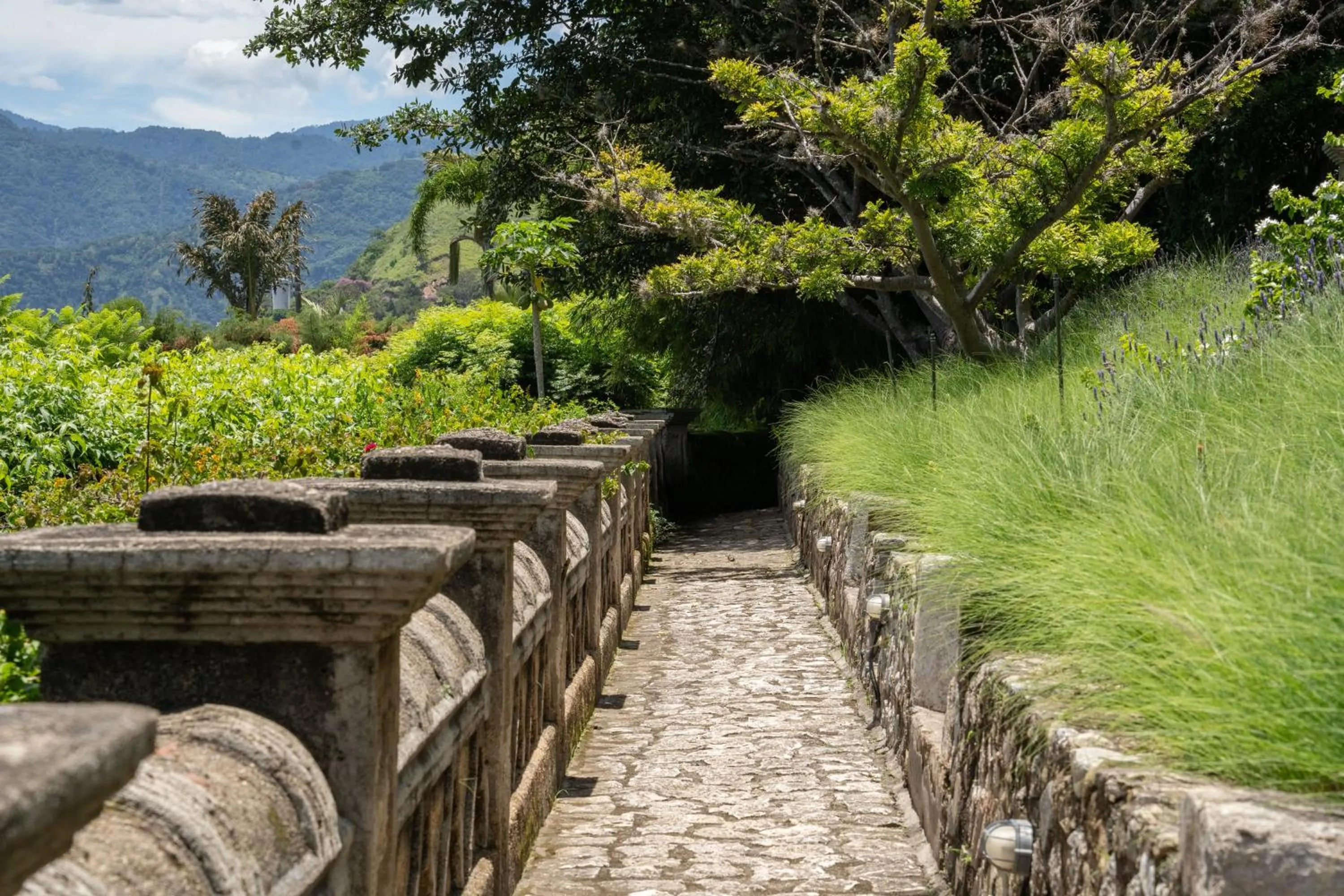 Garden in Hotel Casa Palopo