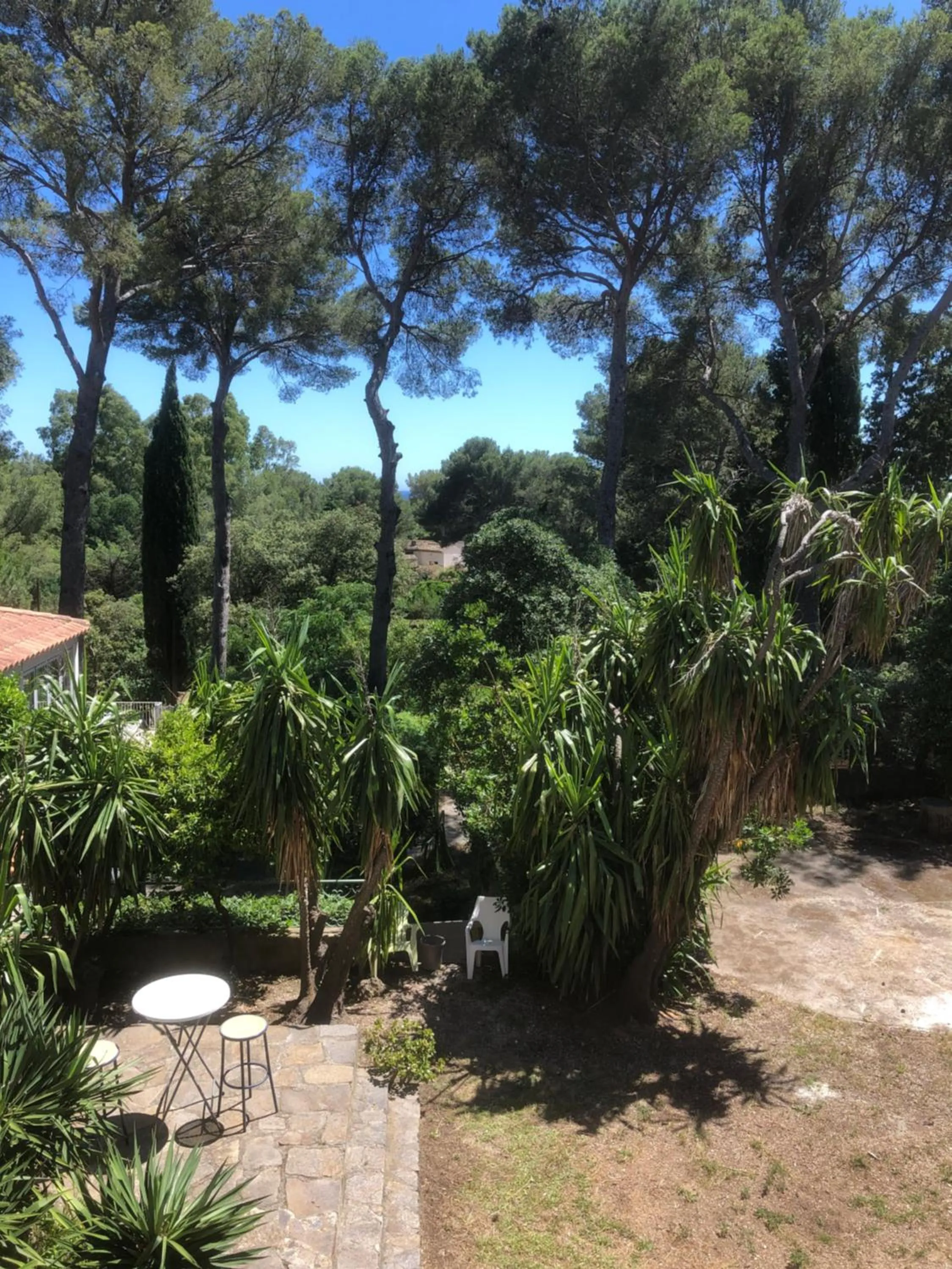 Pool view in Hôtel De La Mer