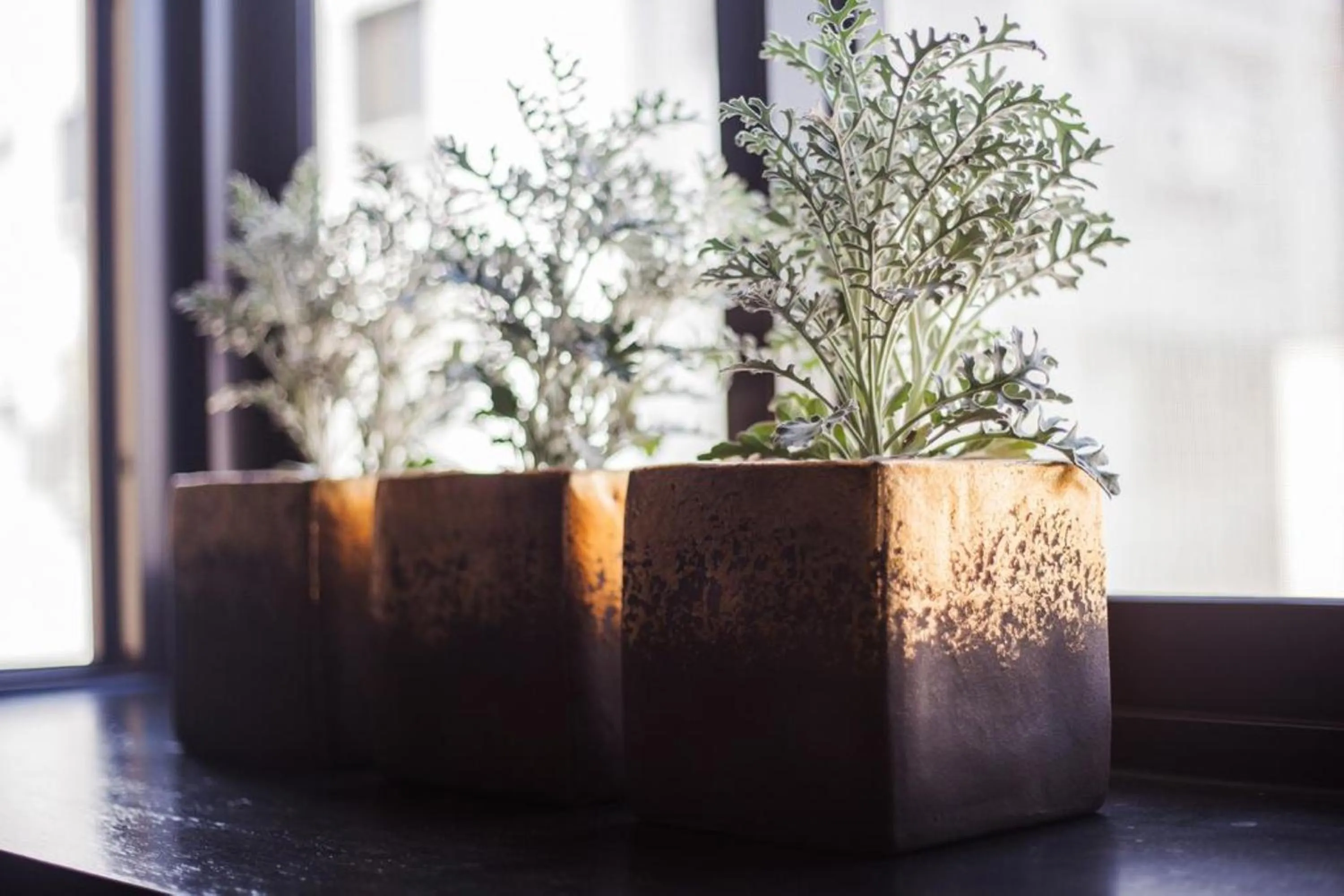 Facade/entrance in Fun Simon