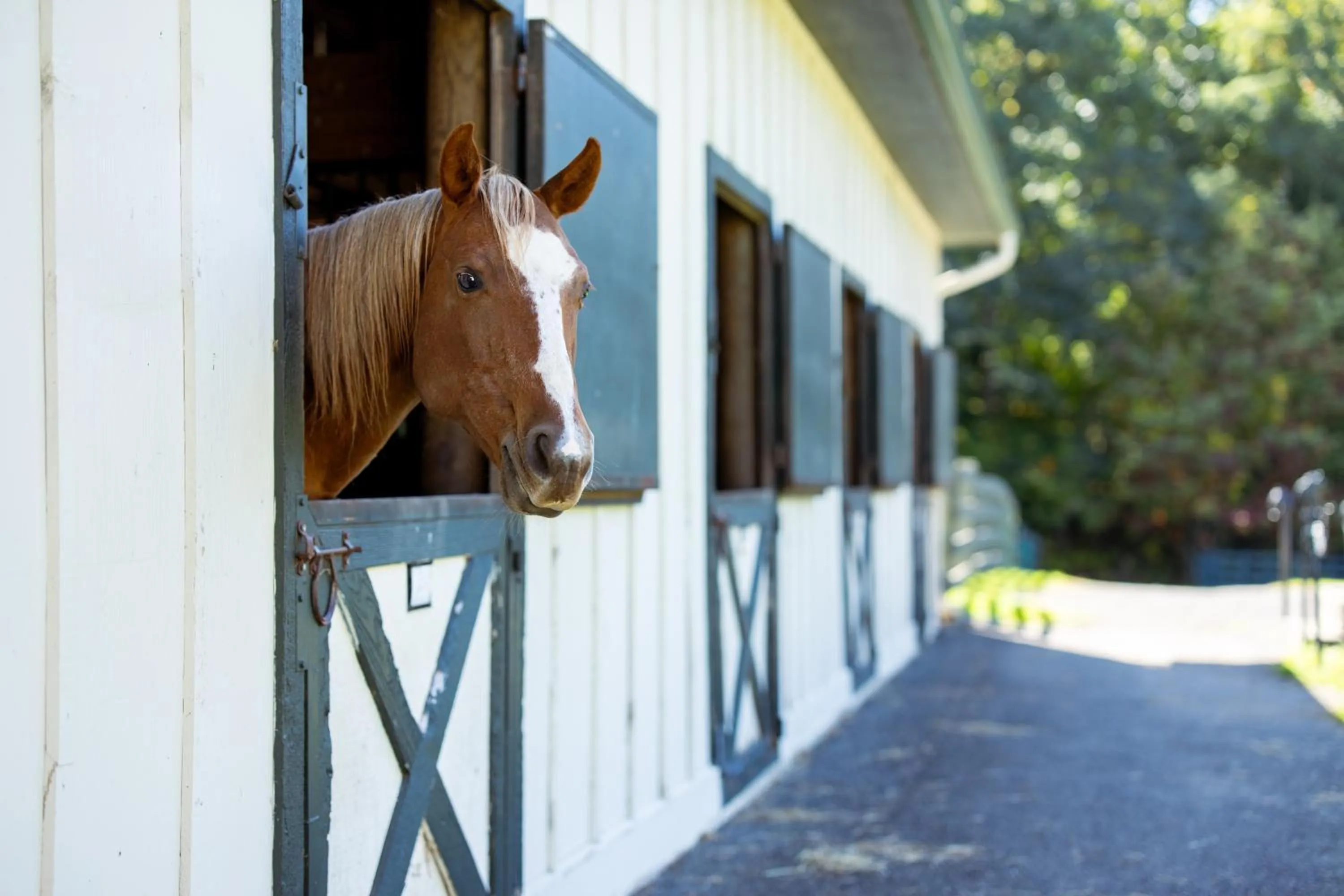 Activities in The Omni Homestead Resort & Spa