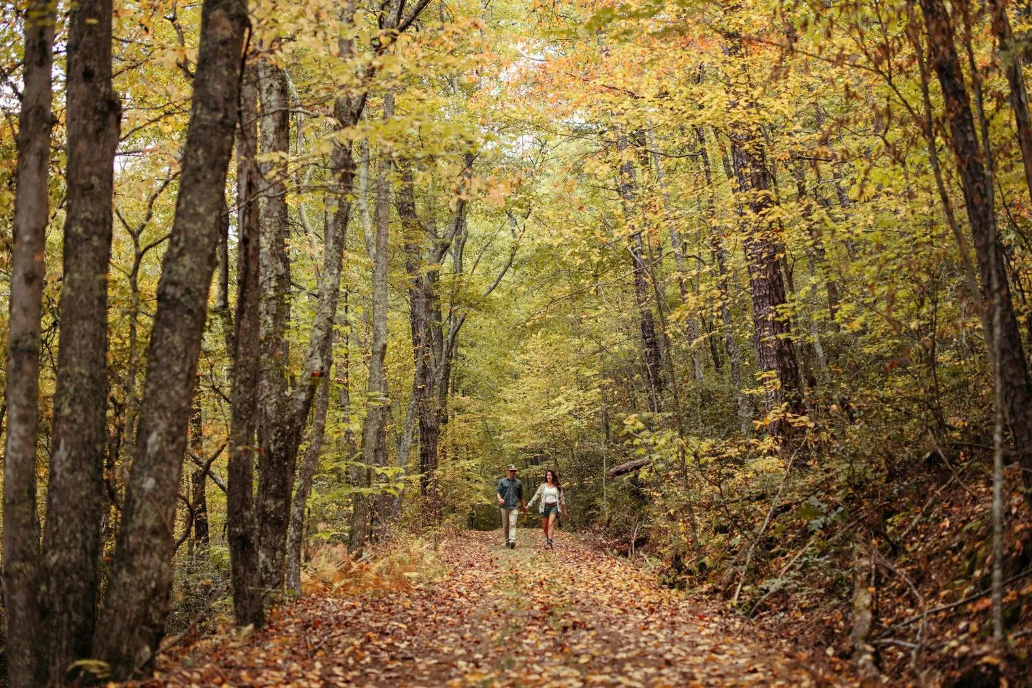 Hiking in The Omni Homestead Resort & Spa