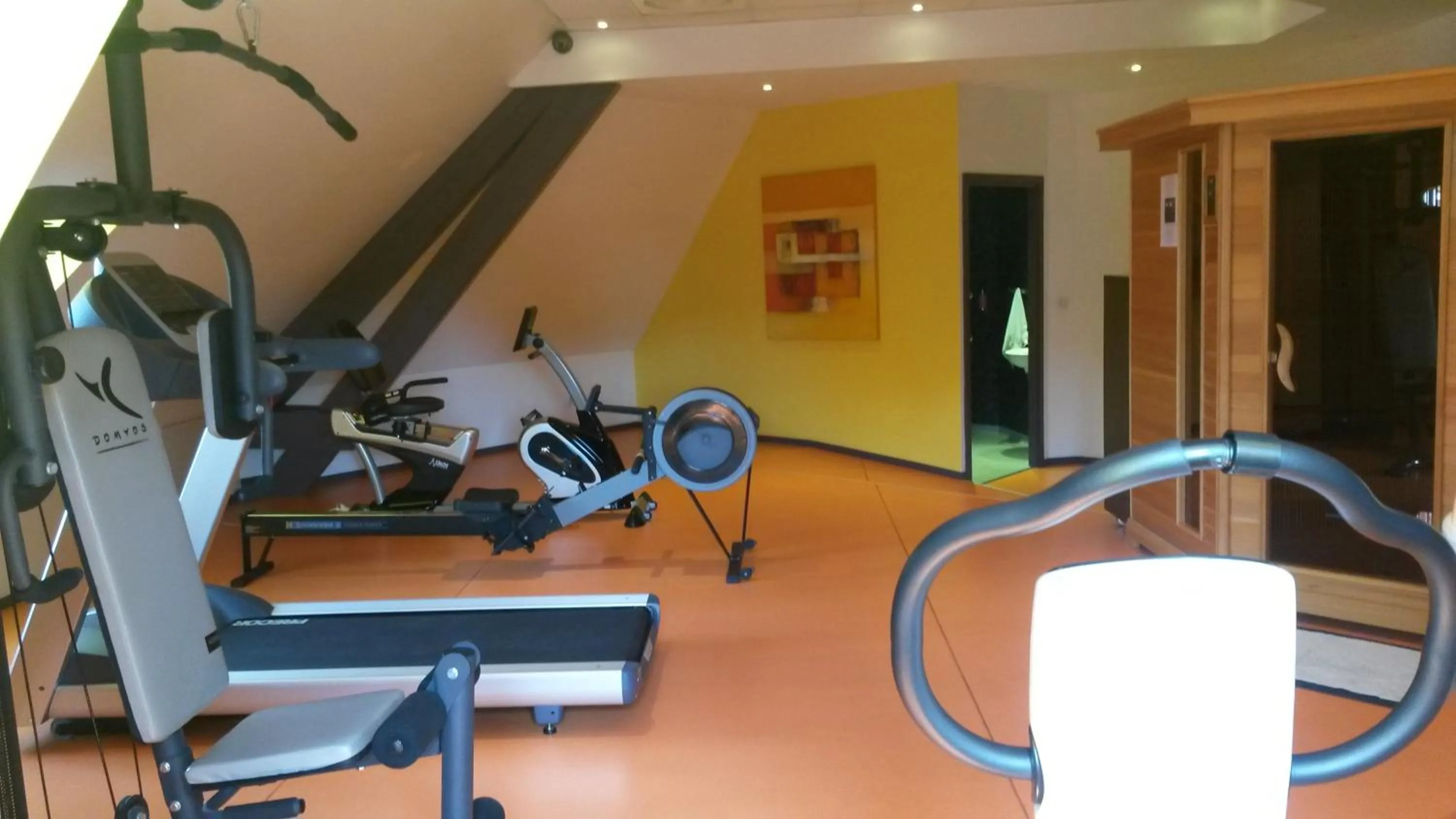 Fitness centre/facilities in Hôtel de La Cloche