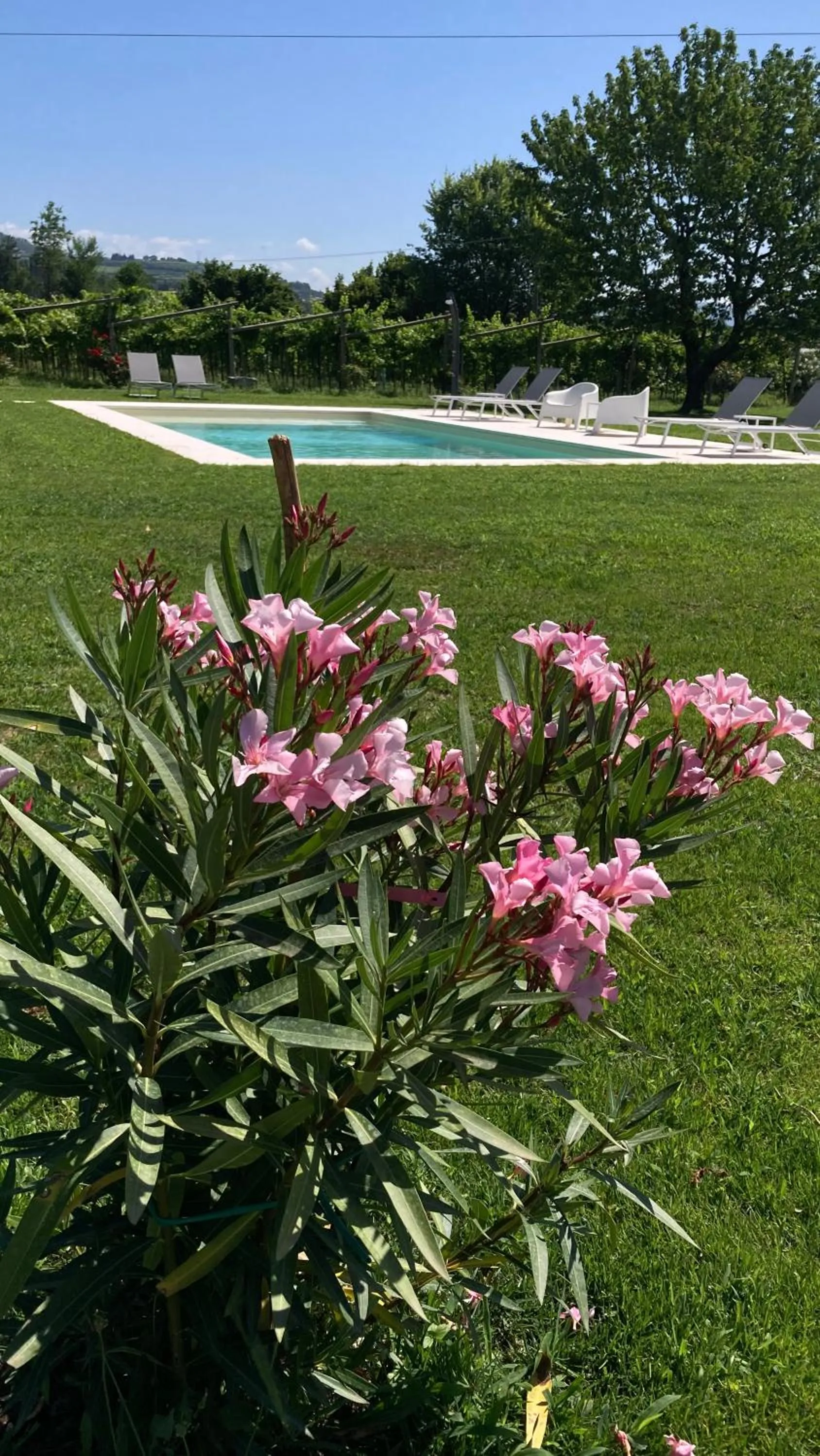 B&B CAMPAGNON VALPOLICELLA
