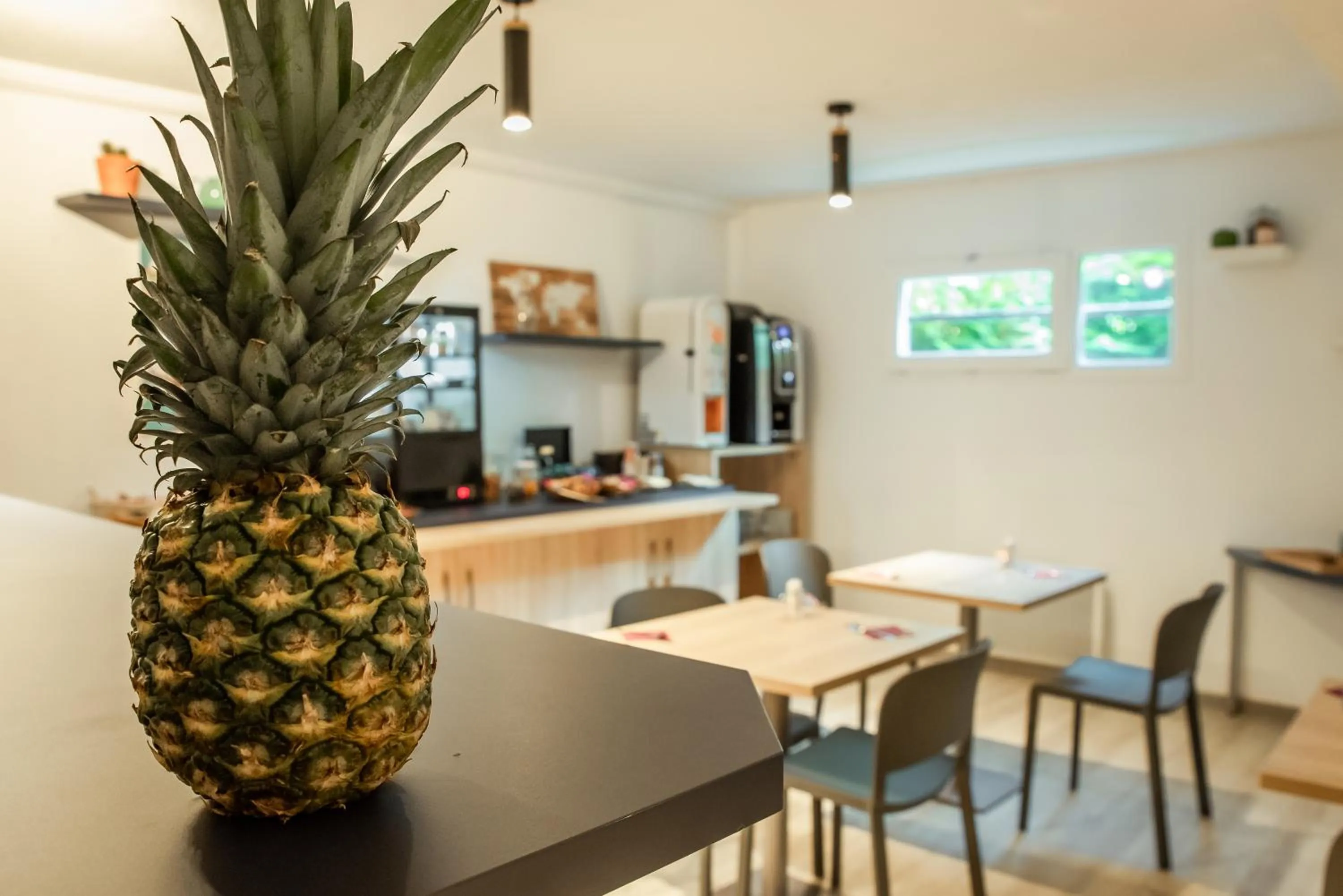 Food and drinks in Terres de France Brest