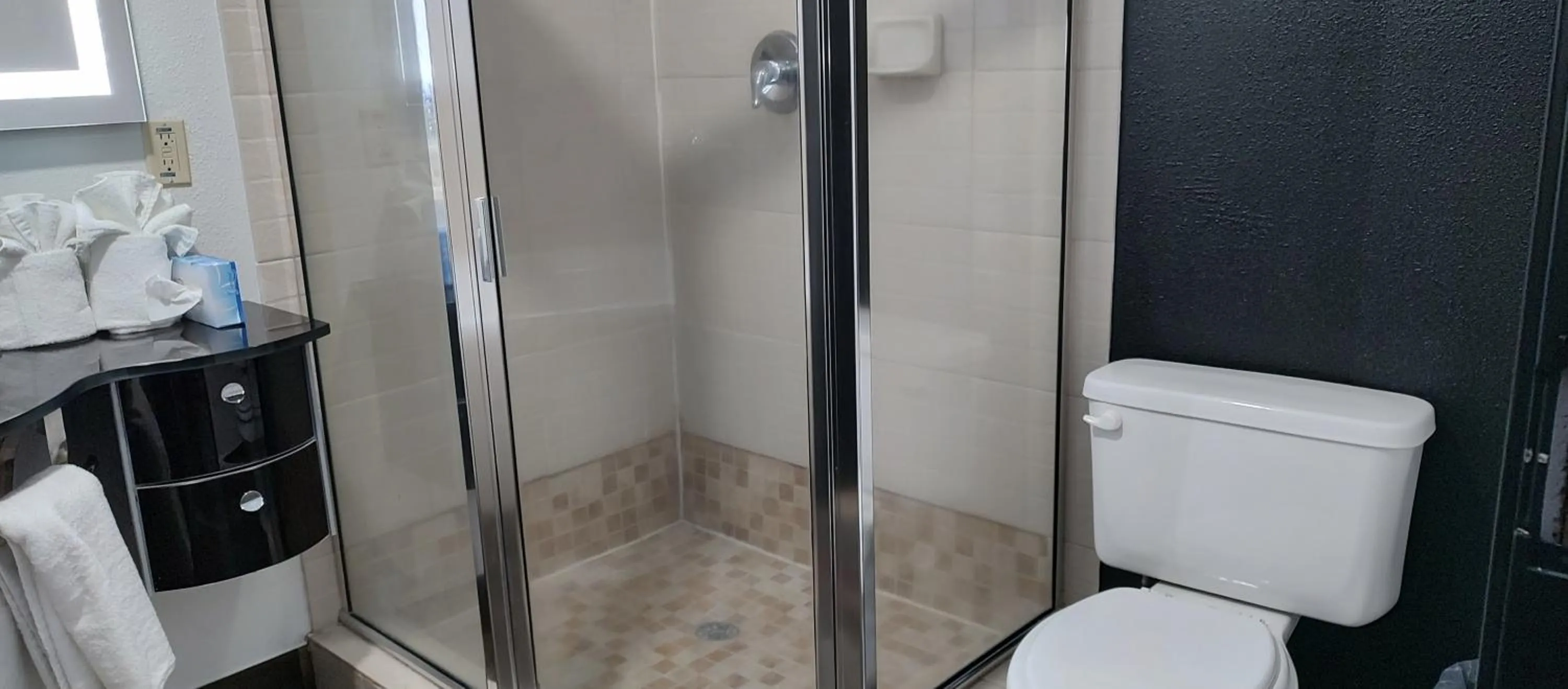 Shower in Sonesta Essential Savannah