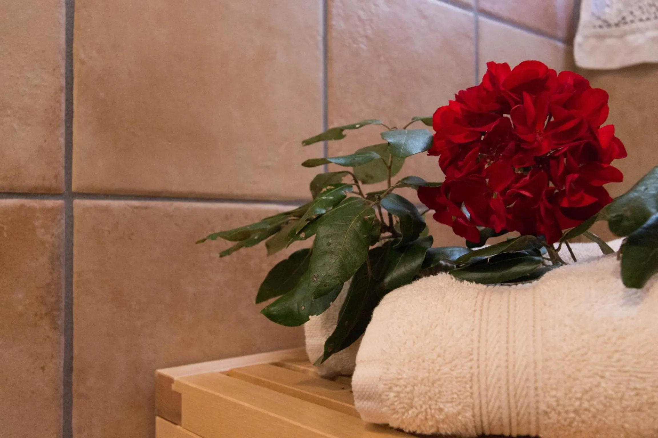 Day in Su Pitiolu - casa vacanze