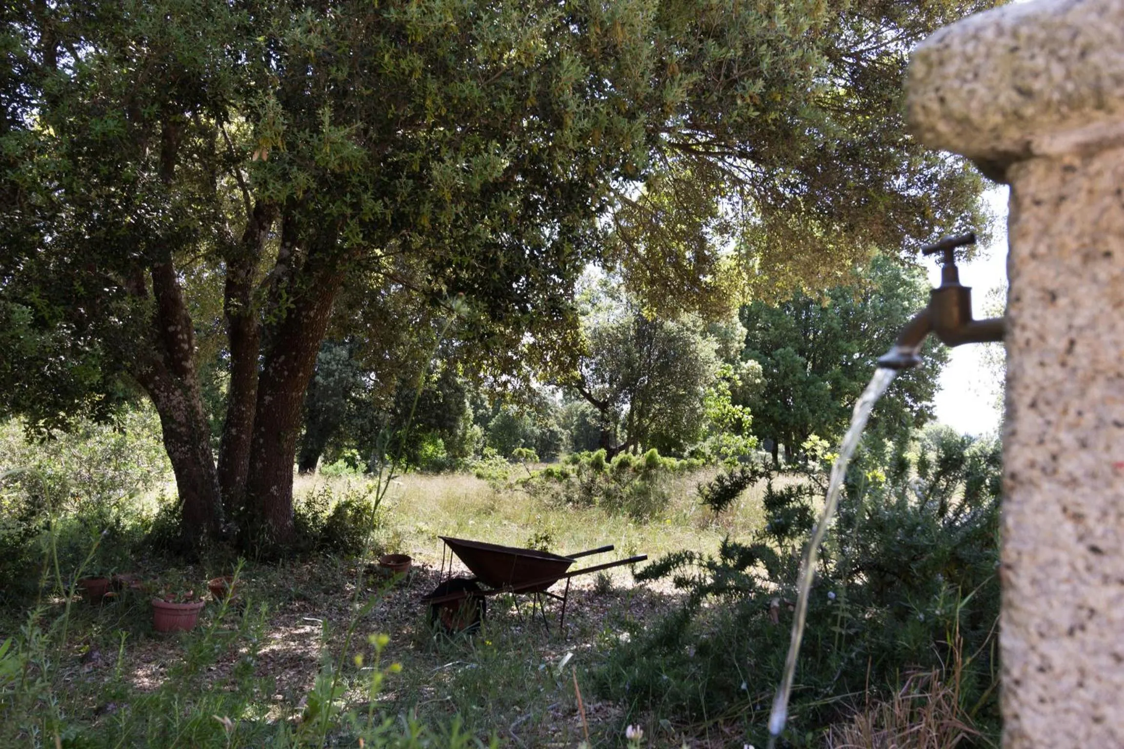 Day in Su Pitiolu - casa vacanze