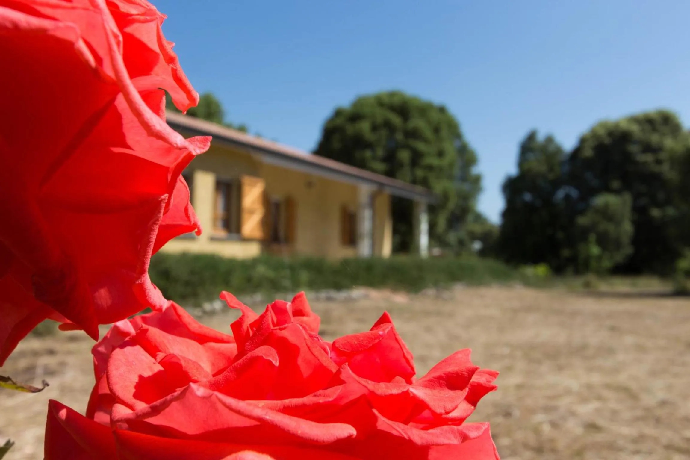 Patio in Su Pitiolu - casa vacanze