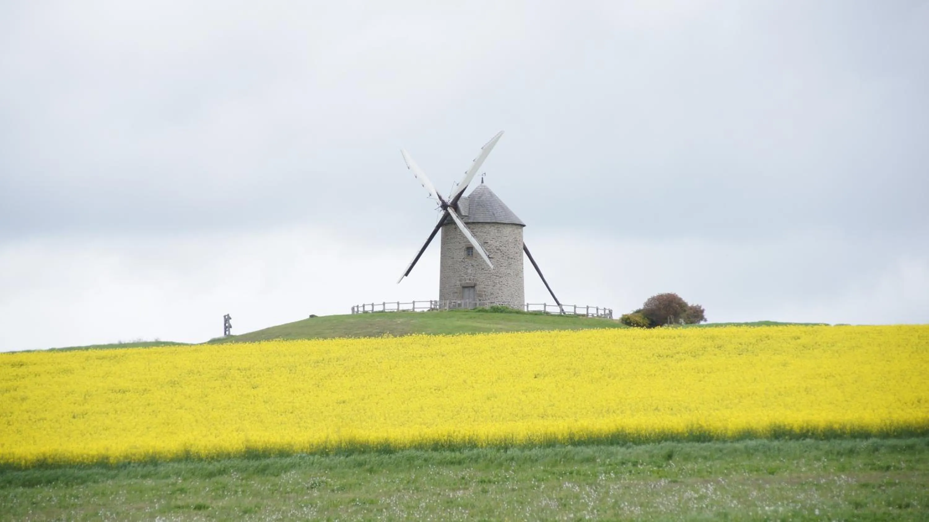 Entertainment in Les Colombes de la Baie du Mont Saint-Michel