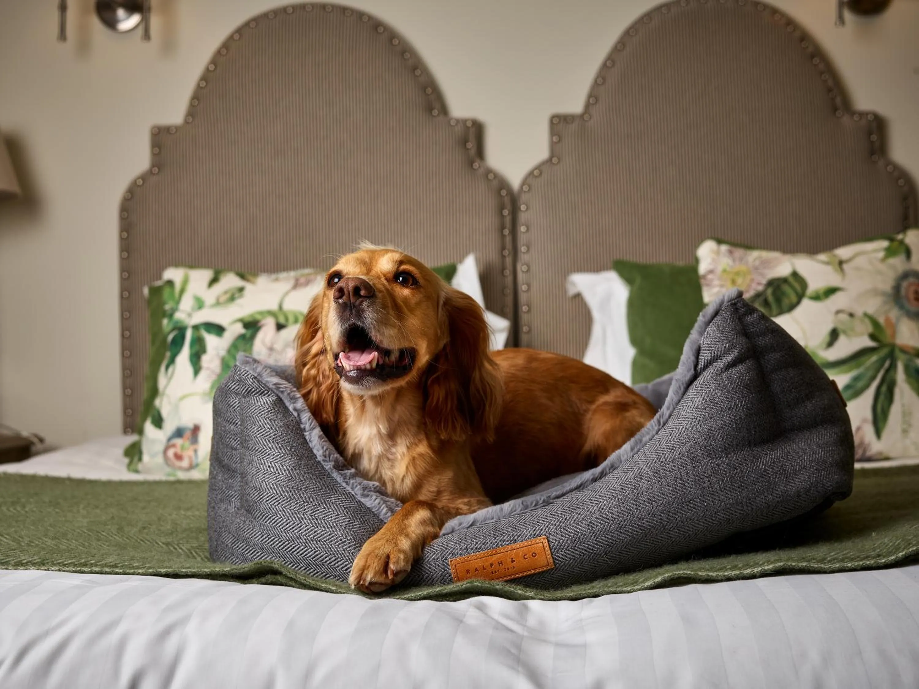 Property building in The Montagu Arms