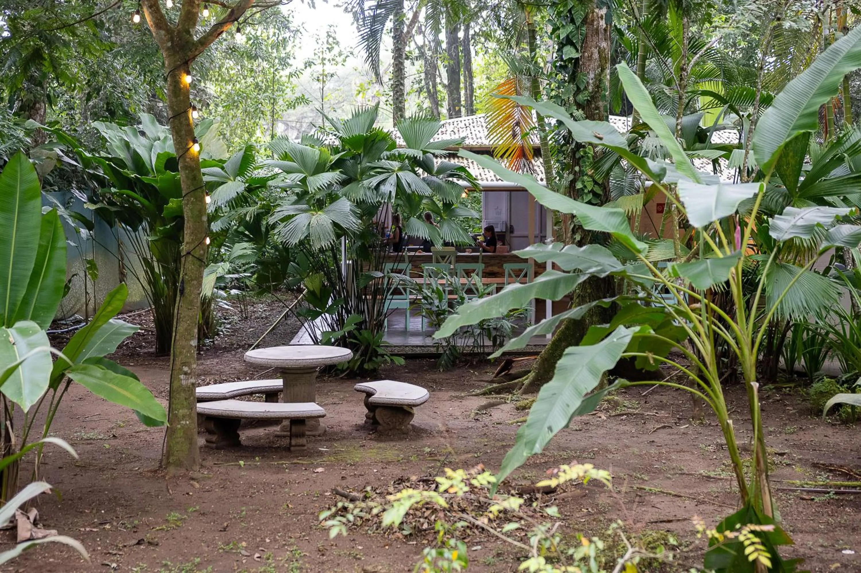 Garden in Jaguar Inn Bungalows