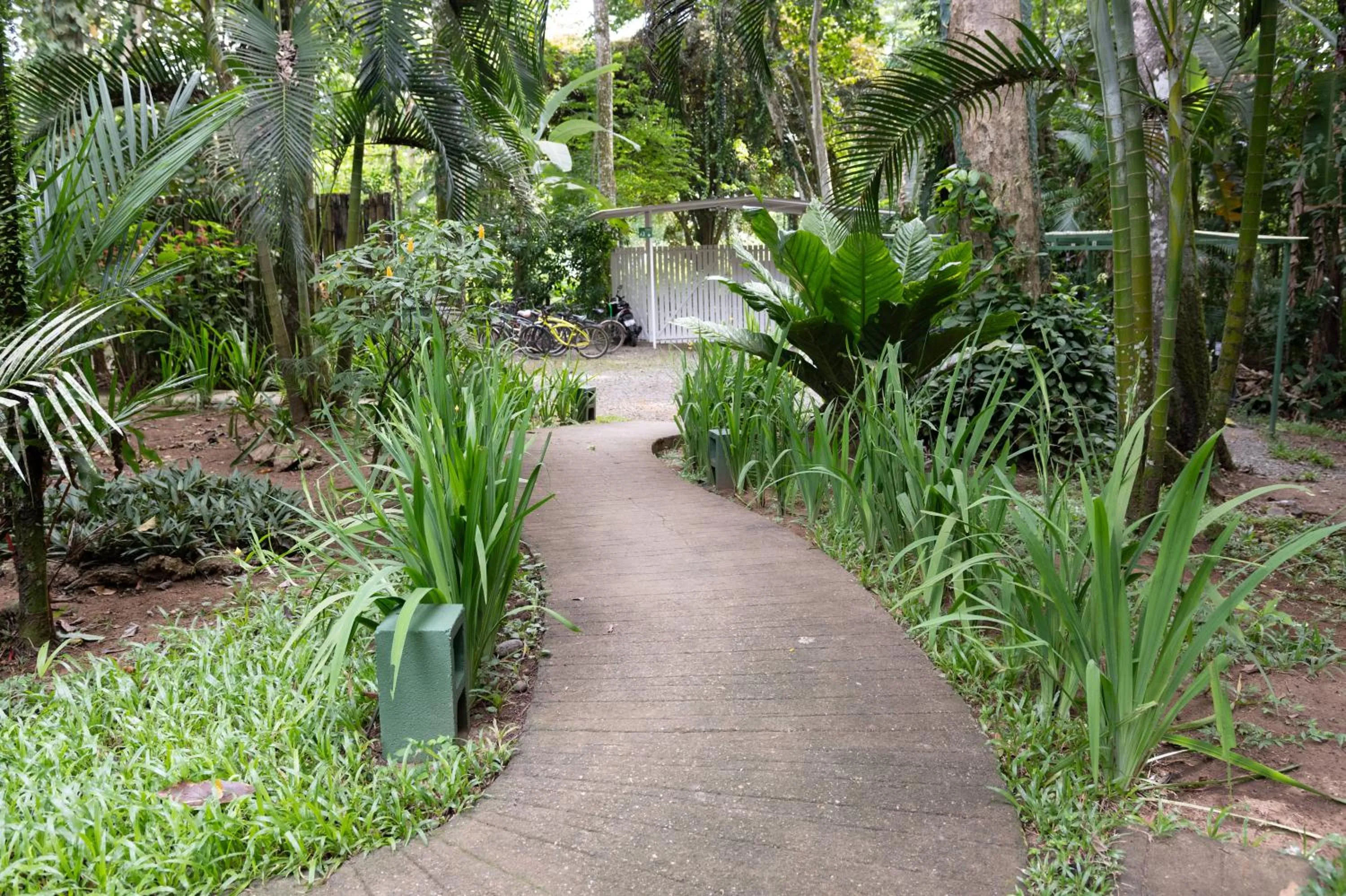Garden in Jaguar Inn Bungalows