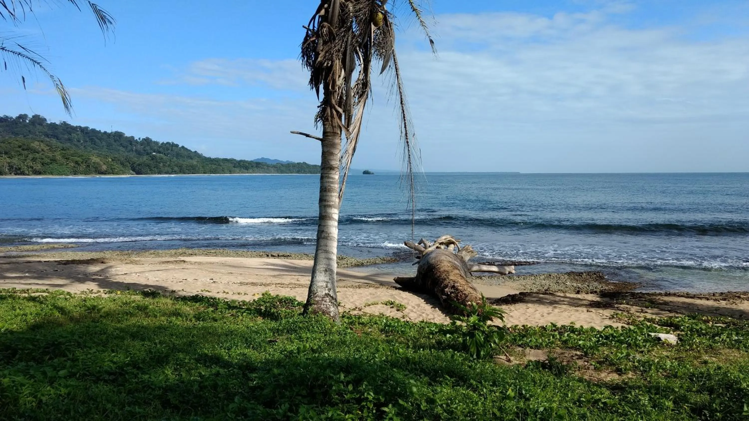 Beach in Jaguar Inn Bungalows