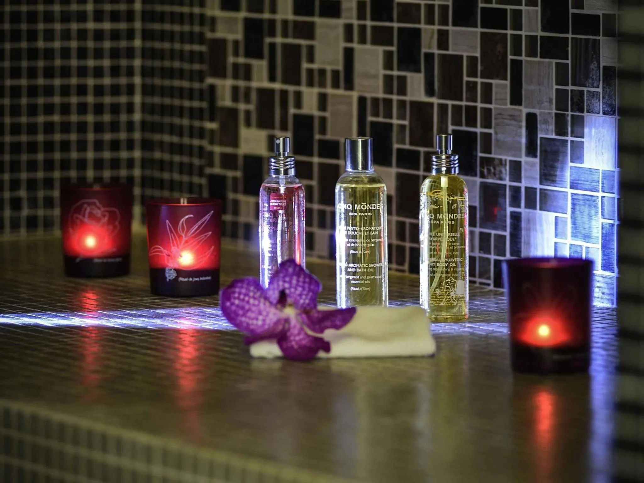 Other in Hotel de la Cité Carcassonne - MGallery Collection