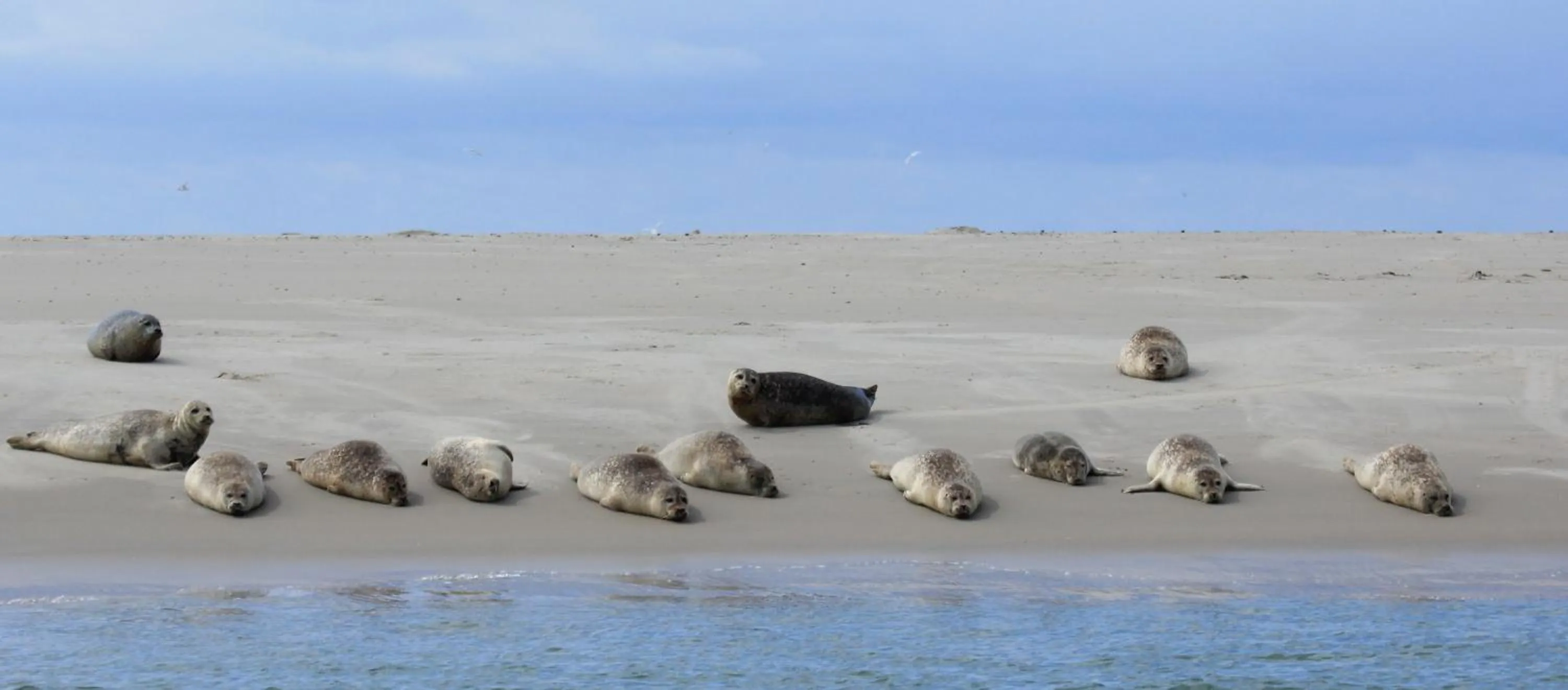 Area and facilities in 't lant van Texsel