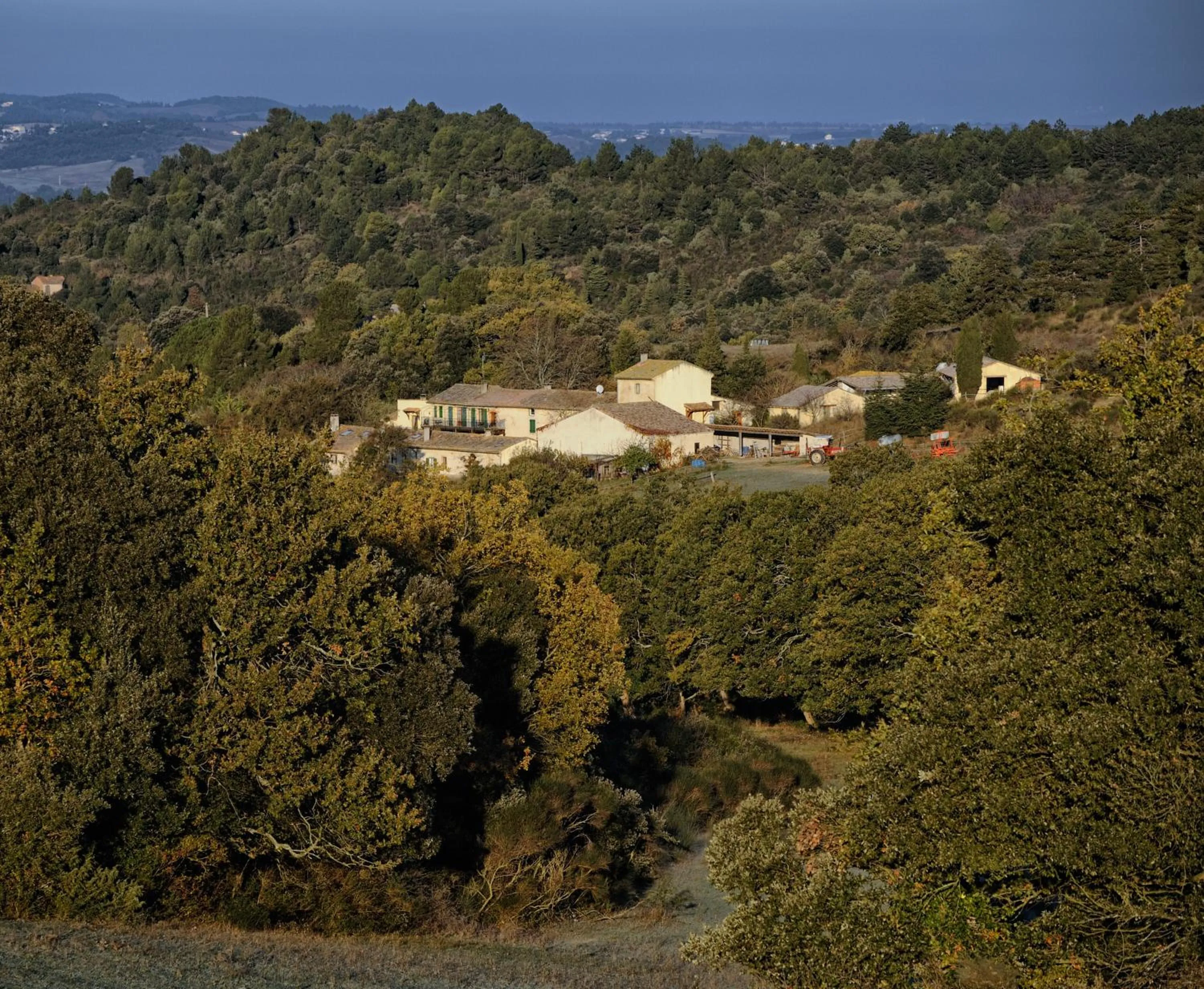 Bird's eye view in Domaine De Fraisse