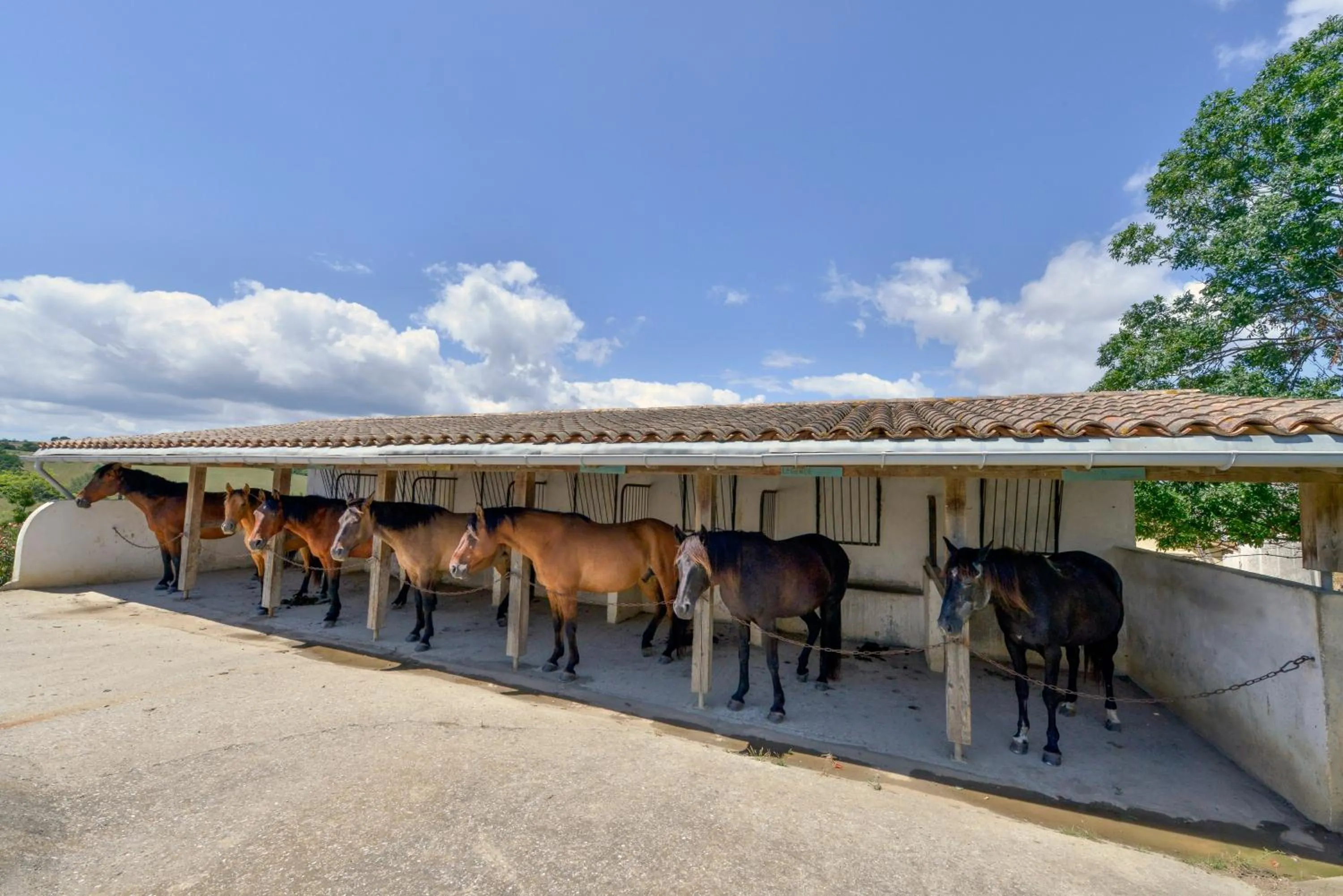 Horse-riding in Domaine De Fraisse