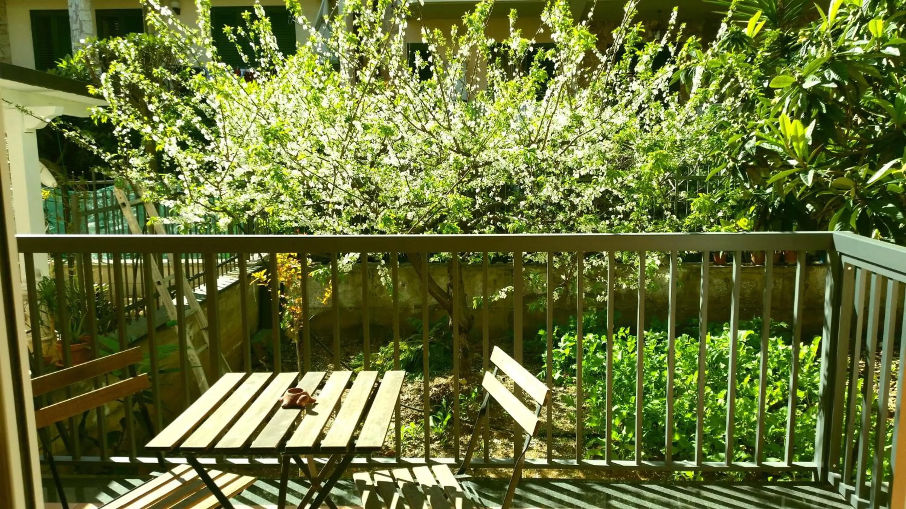 Garden view in B&B La Villetta Gela