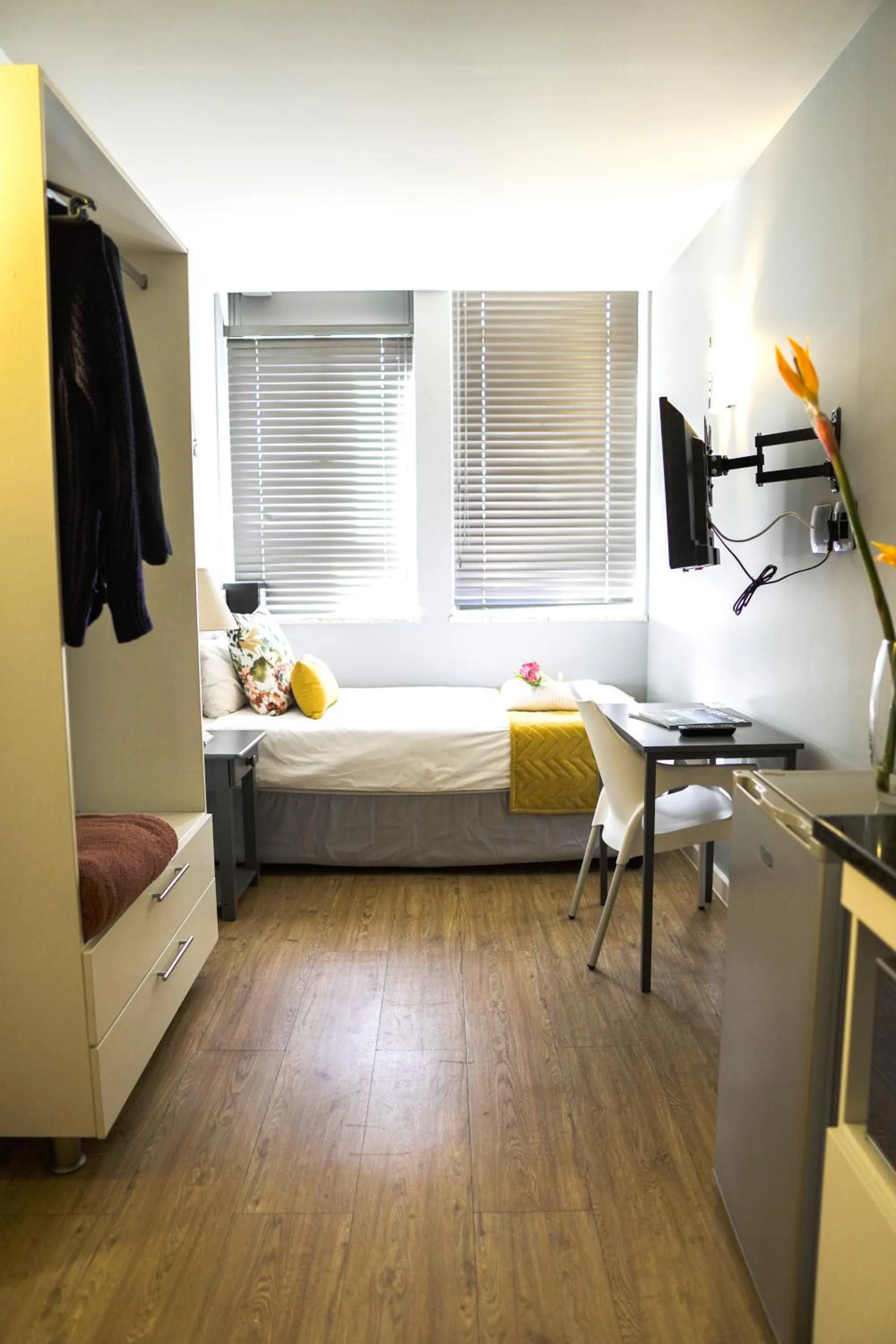 TV and multimedia in 106 On Adderley Accommodation