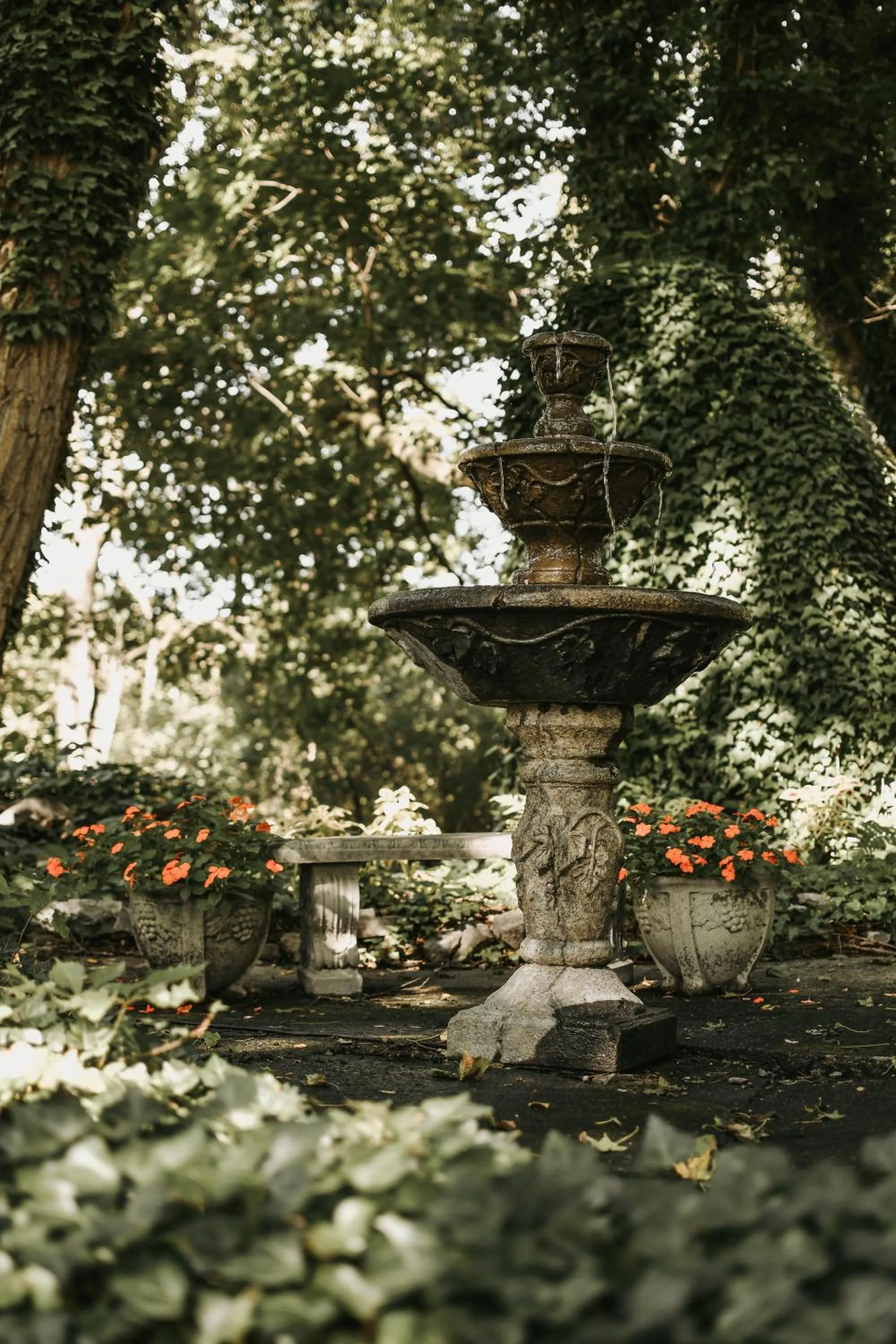 Fallen Tree Farm Bed and Breakfast