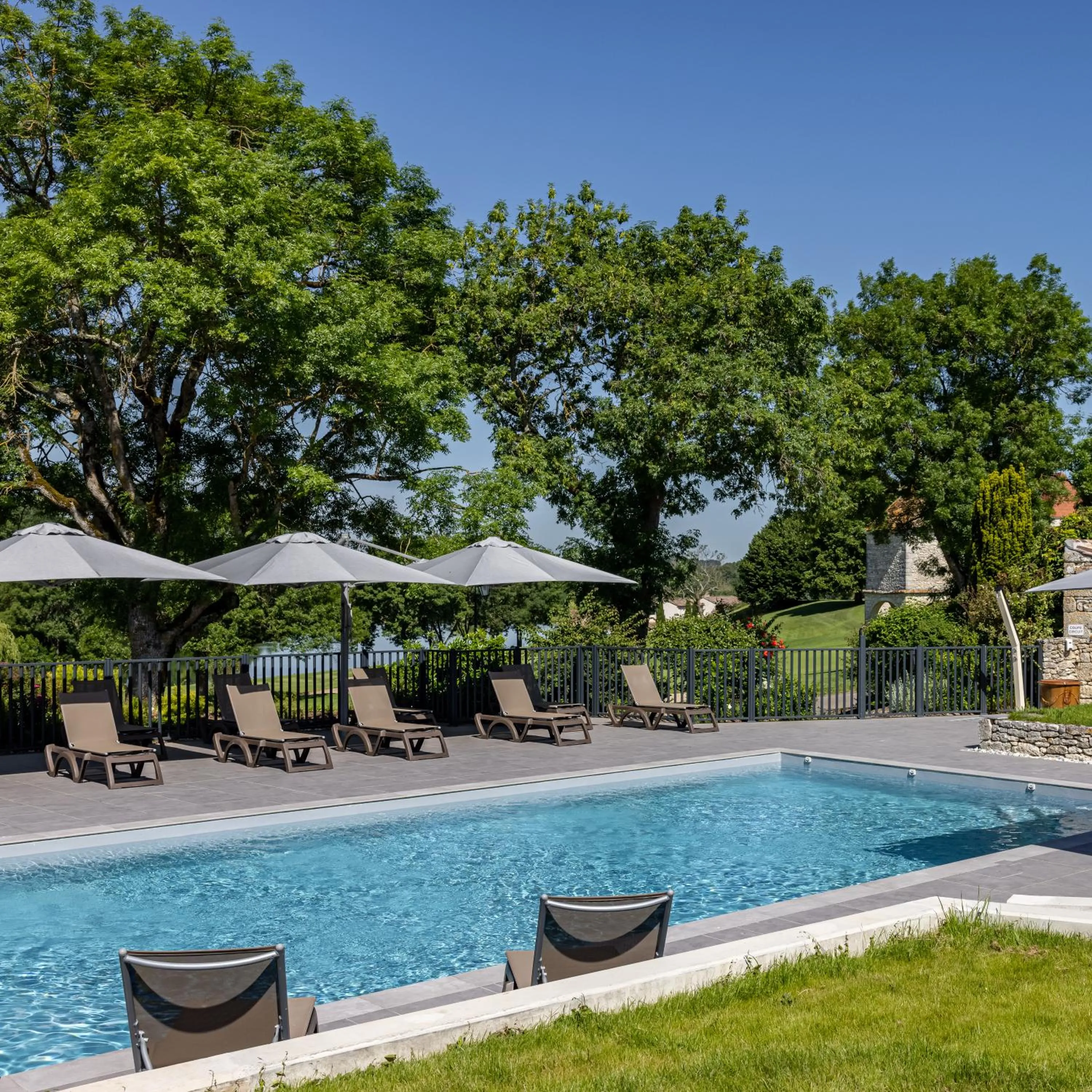 Swimming pool in Château des Vigiers