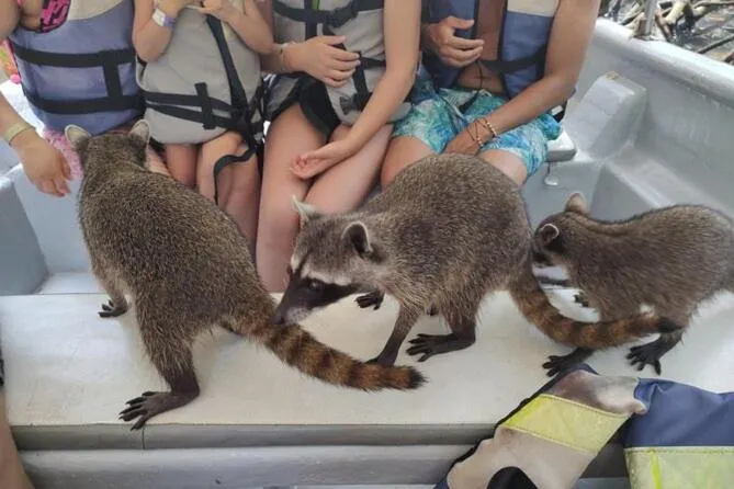 Nuestros Tres Tesoros II