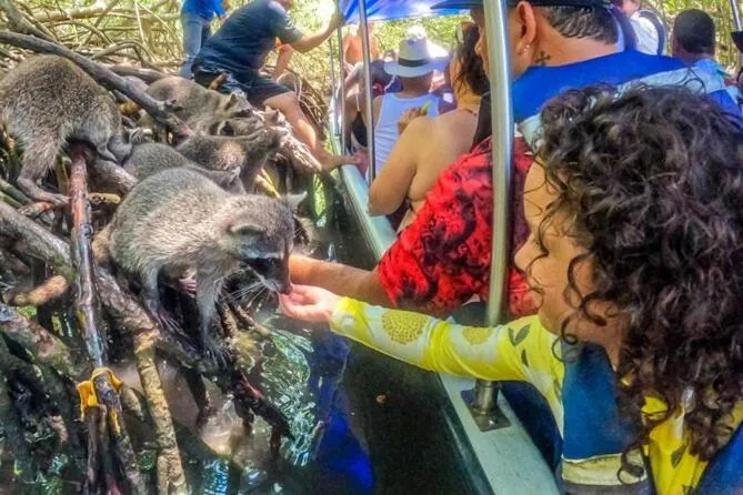 Nuestros Tres Tesoros II