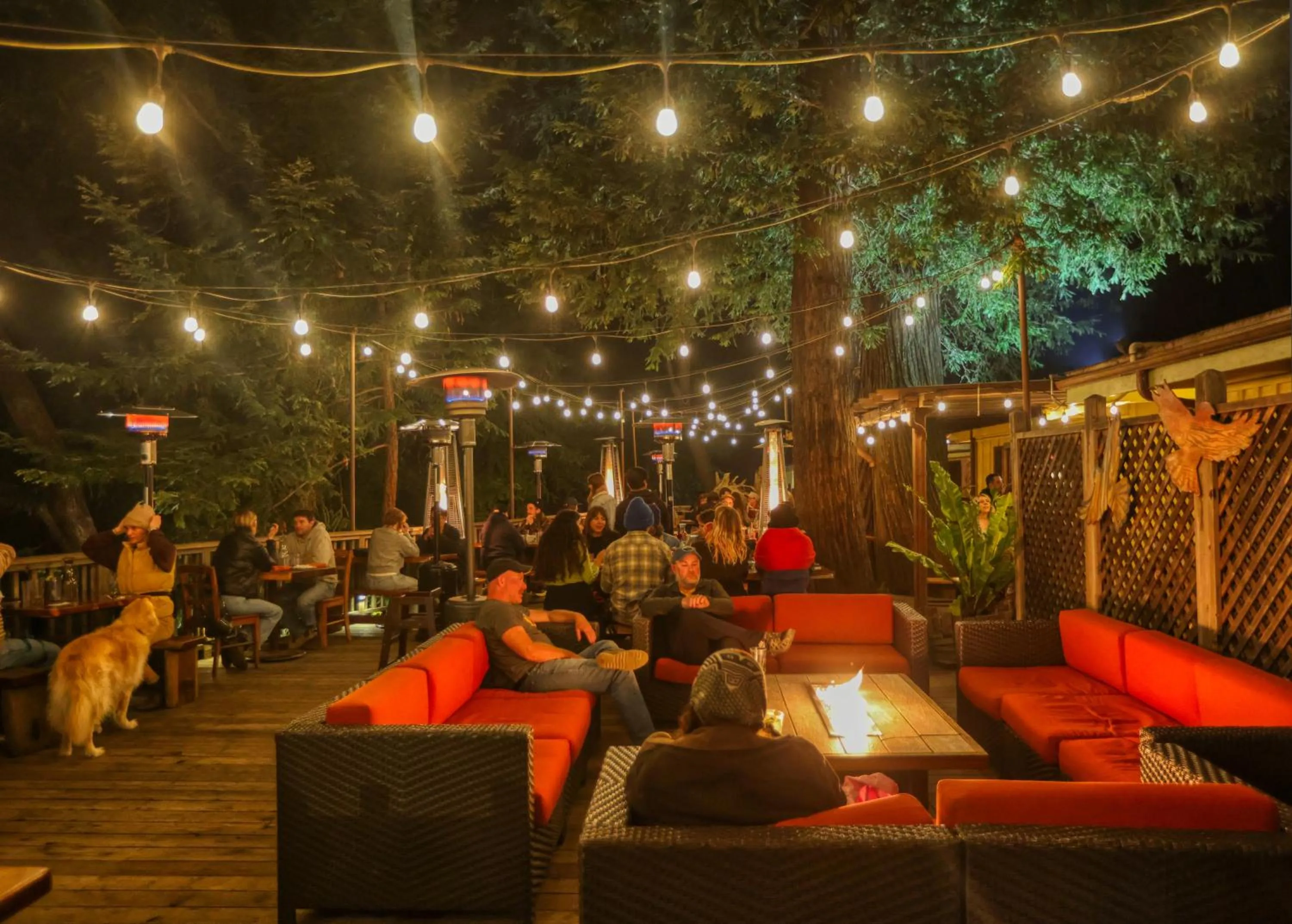 Restaurant/places to eat in Fernwood Resort