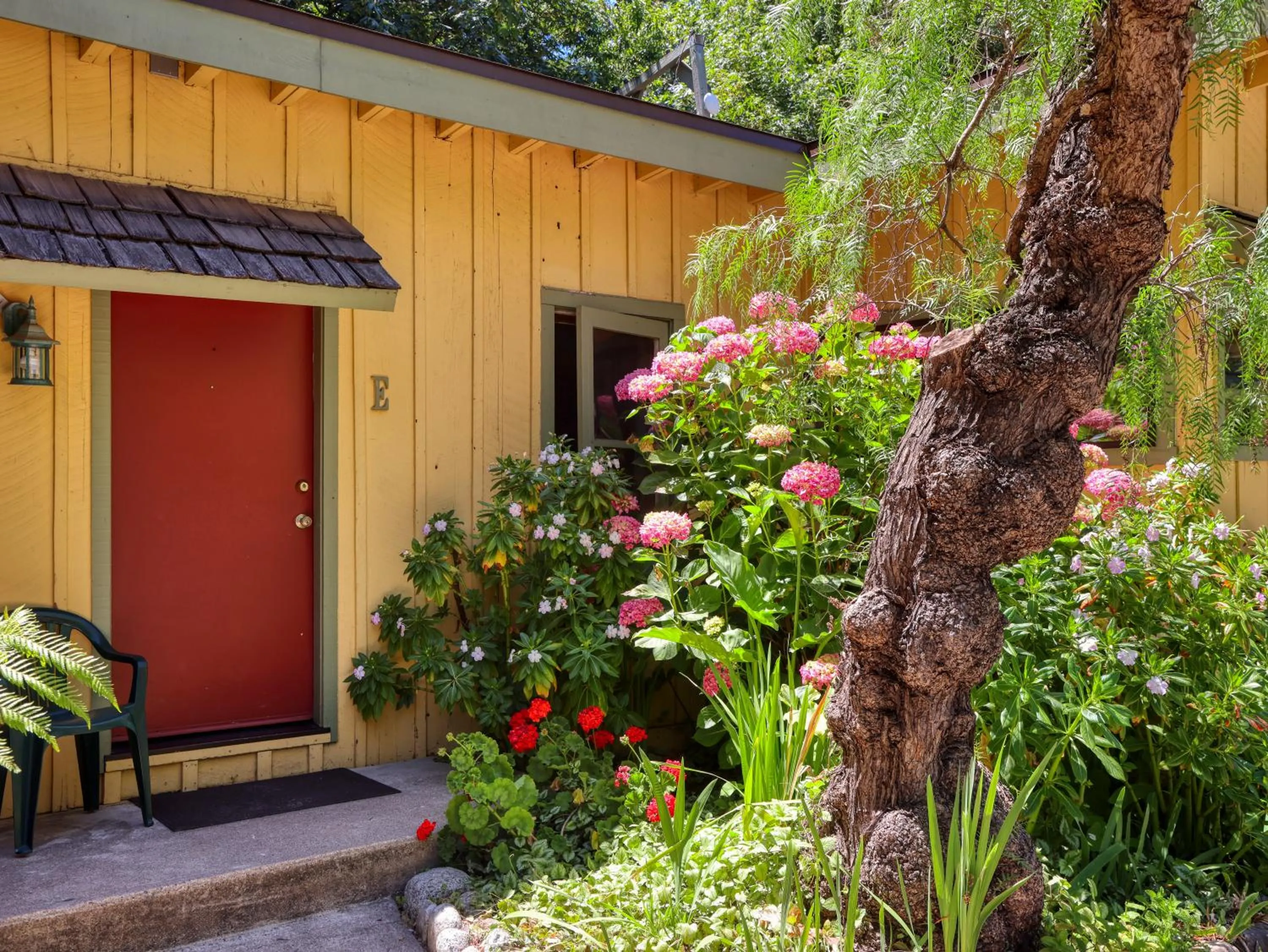 Property building in Fernwood Resort