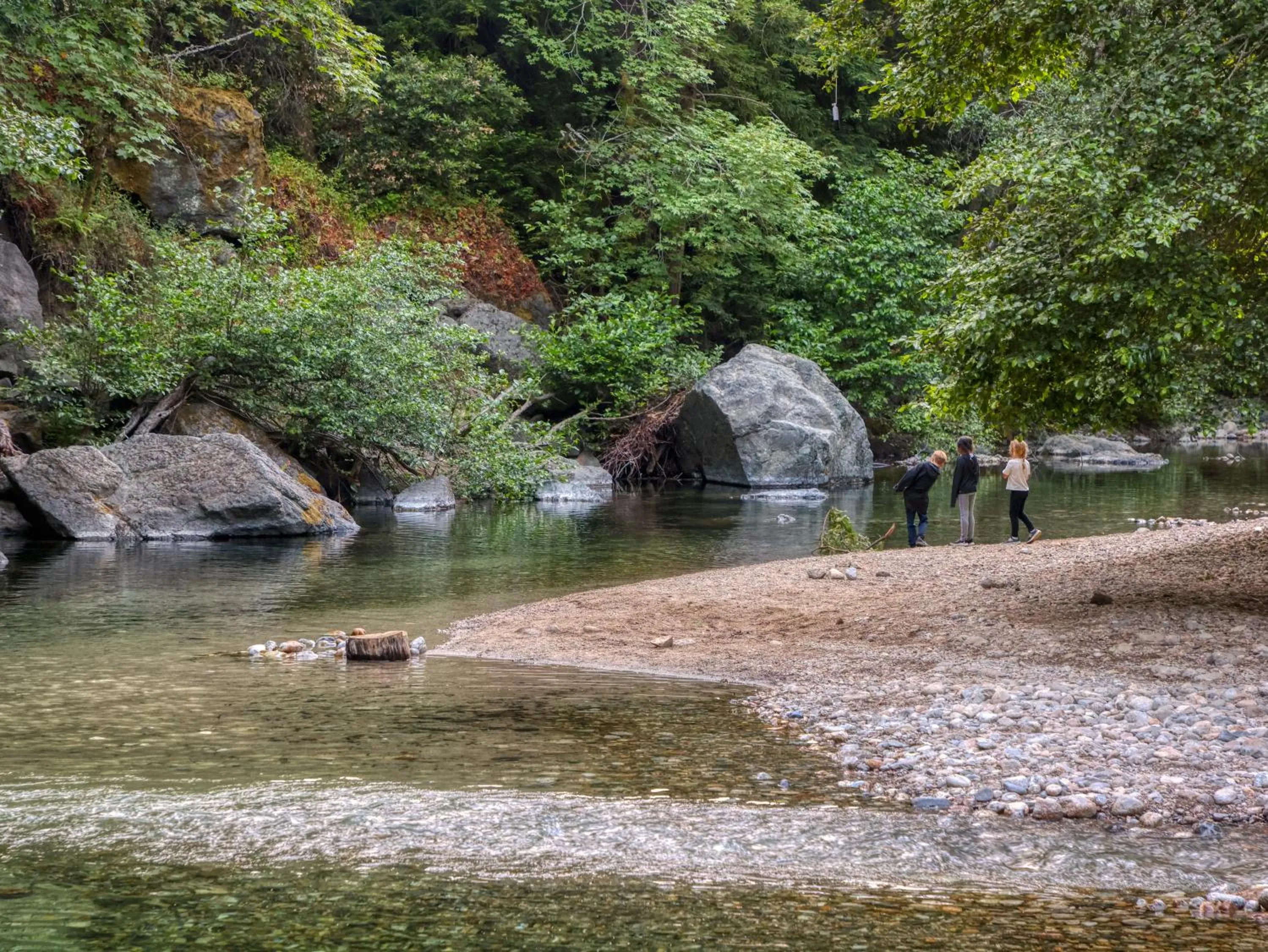River view in Fernwood Resort