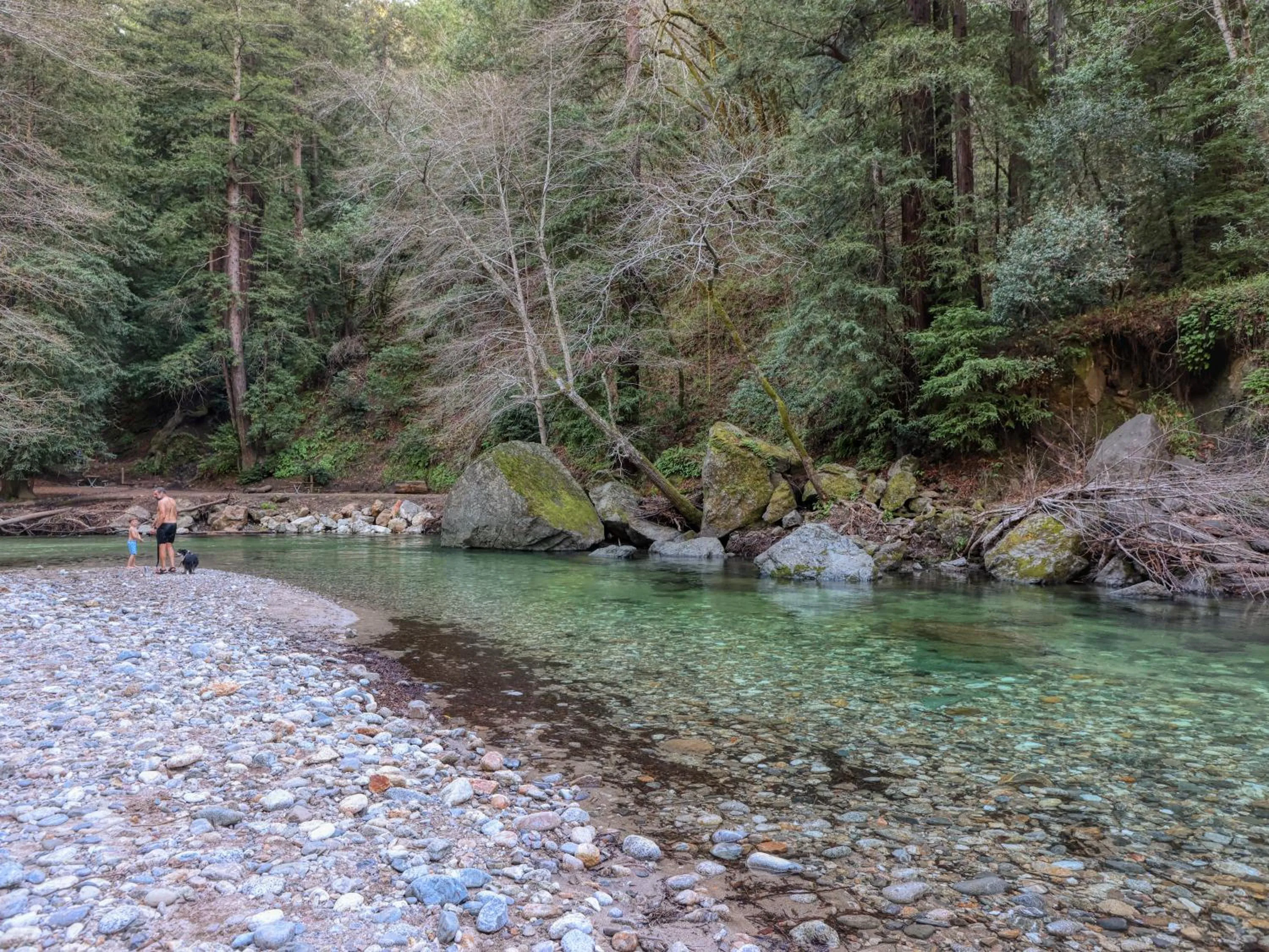 River view in Fernwood Resort