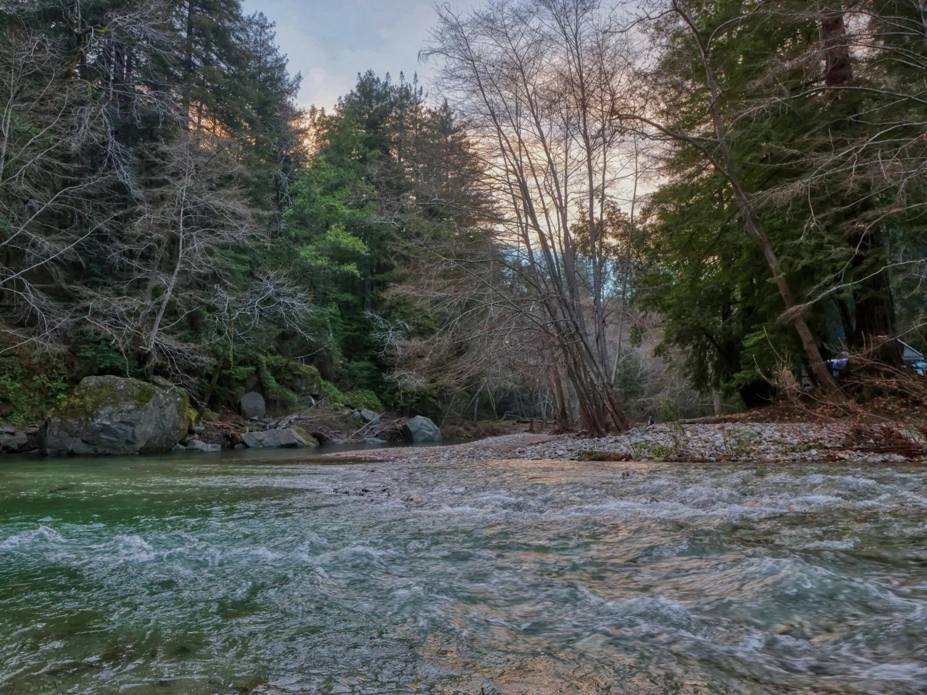 River view in Fernwood Resort